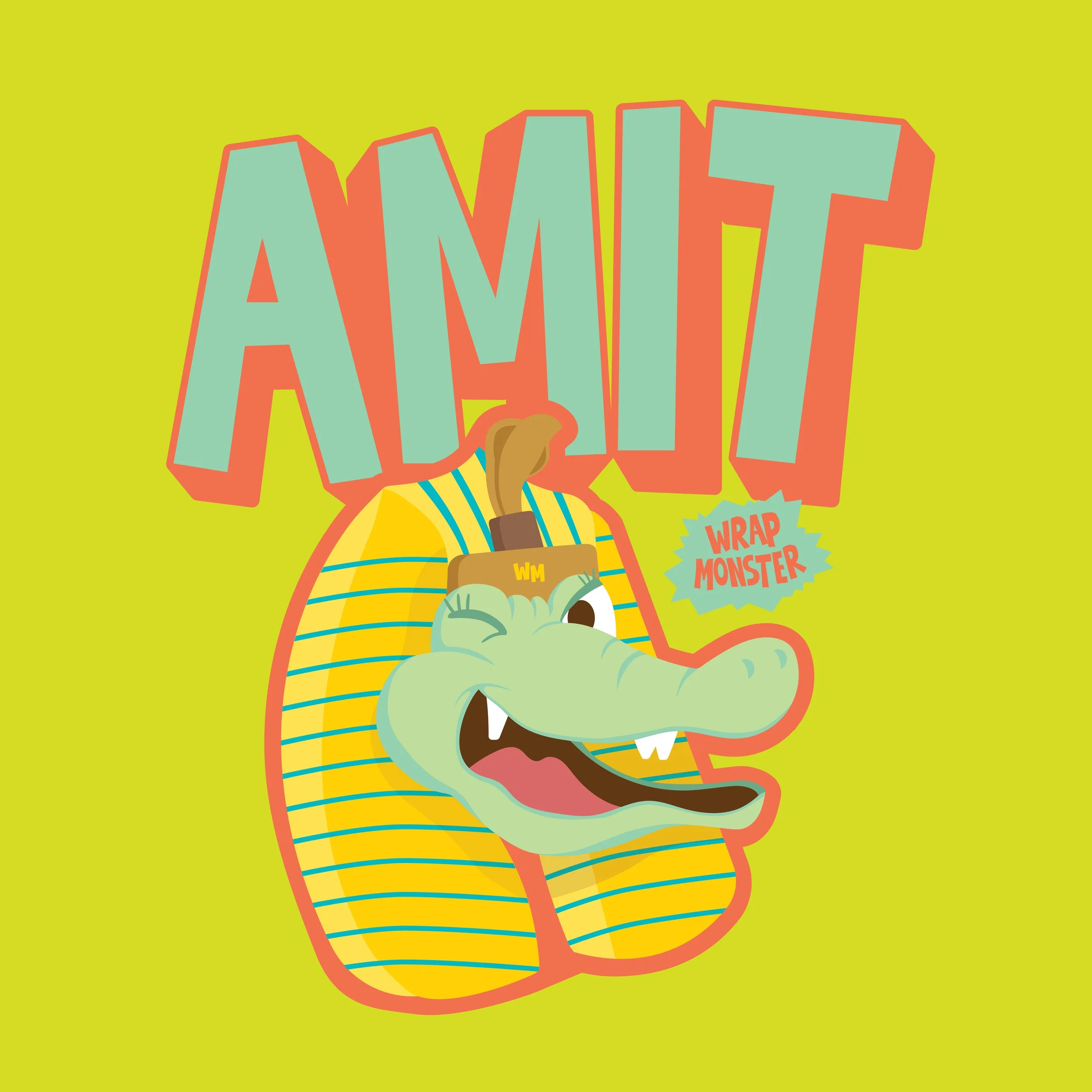 AMMIT-01.jpg