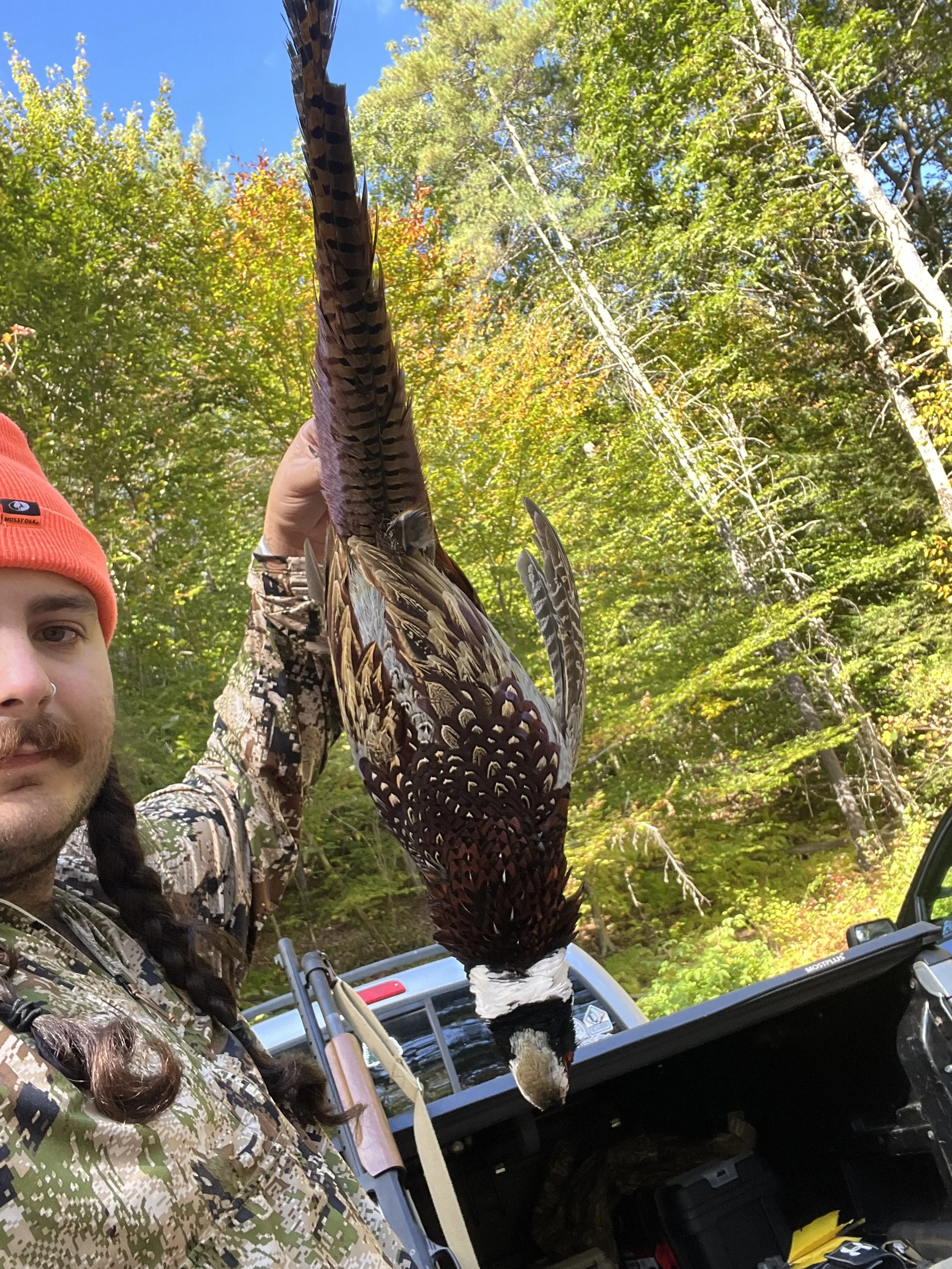 Person wearing camouflage clothing and a red beanie holding a dead bird, possibly a pheasant, outdoors with trees and blue sky in the background.