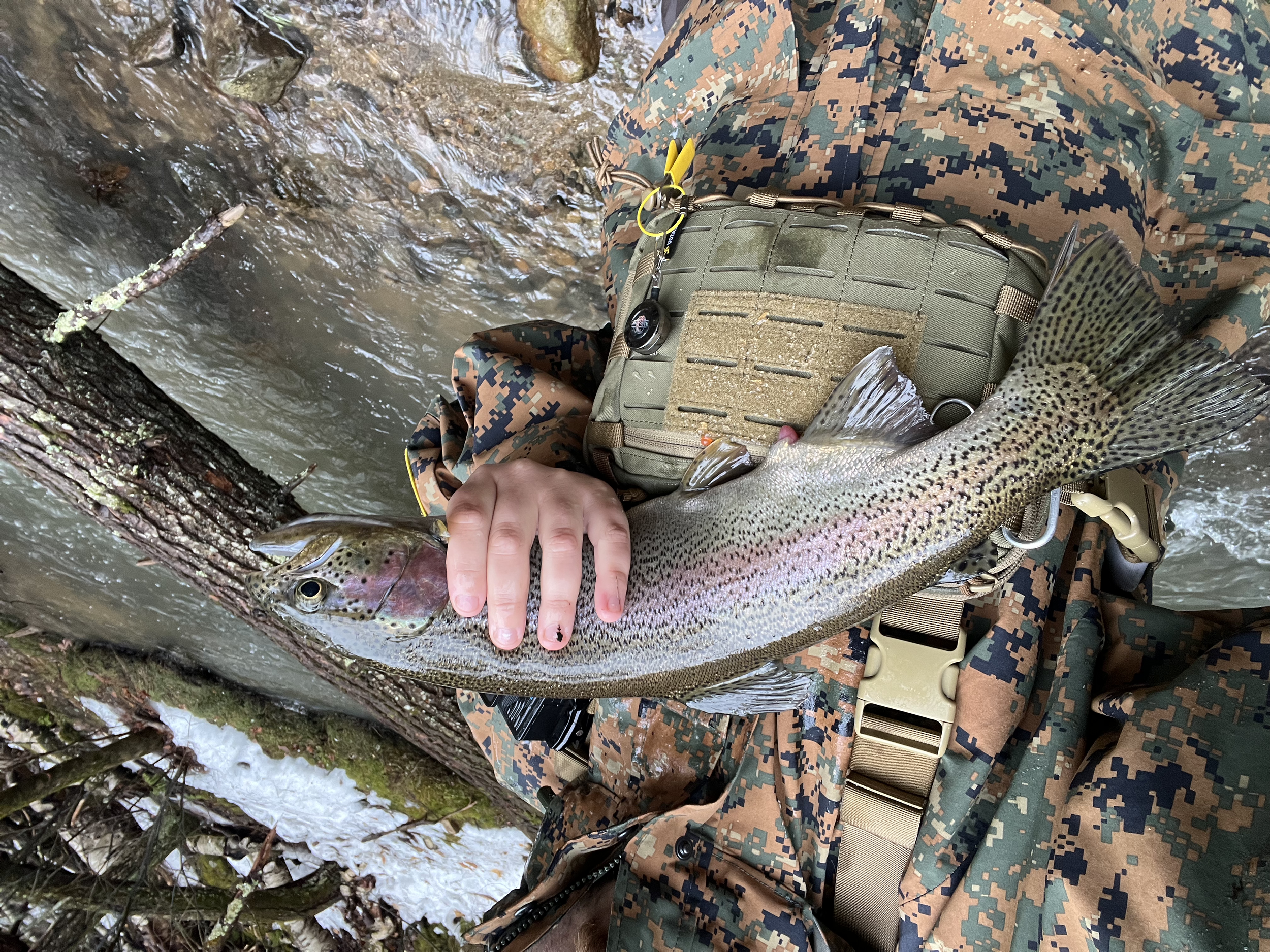 Person wearing camouflage clothing holding a large rainbow trout near a riverbank with water and some moss-covered rocks.