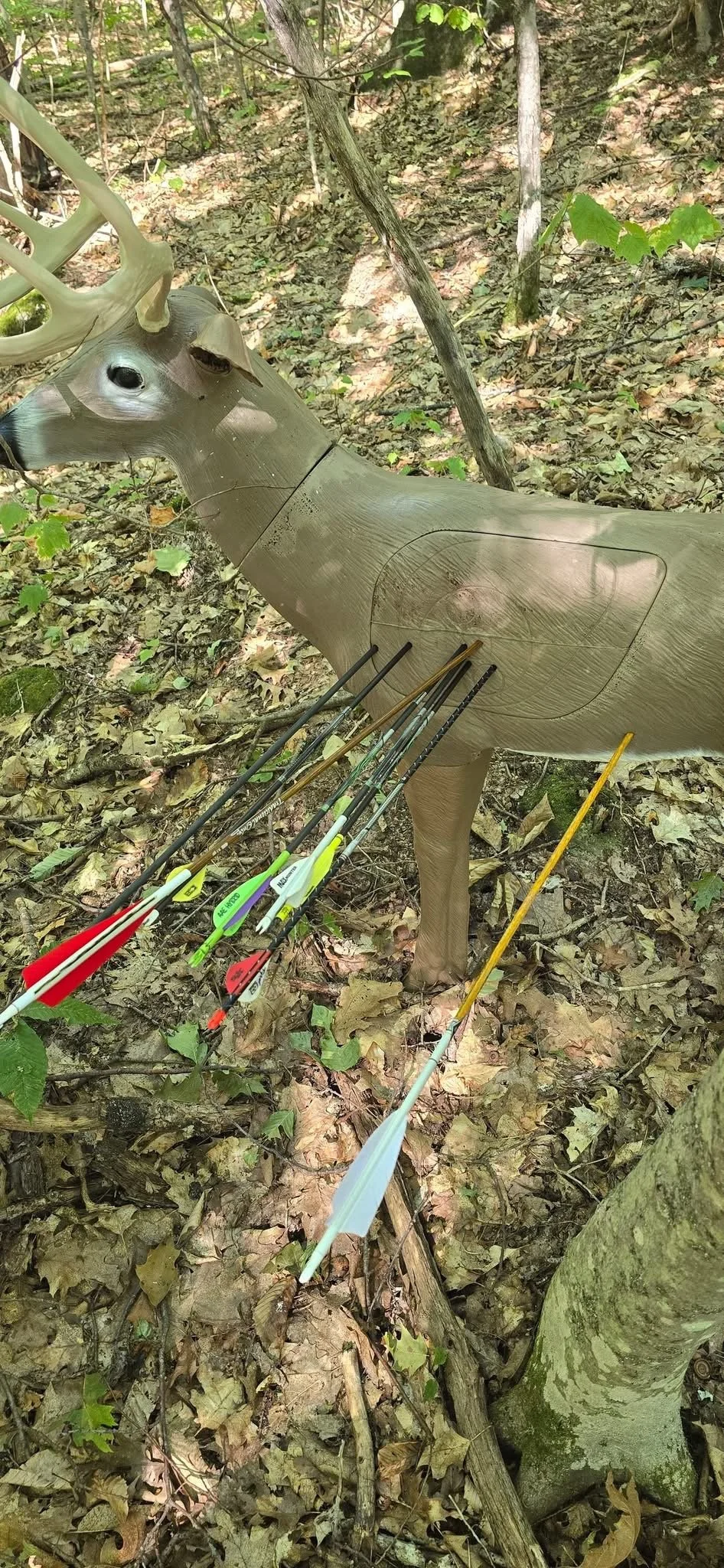 A deer-shaped 3D archery target with multiple arrows stuck in its body, set in a wooded forest area.