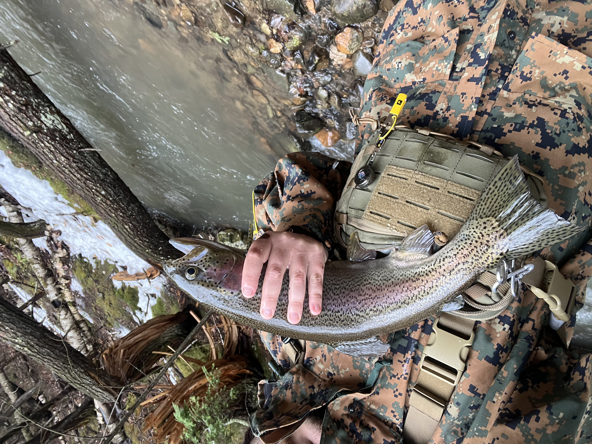 Person in camouflage clothing holding a freshly caught rainbow trout by a riverbank.