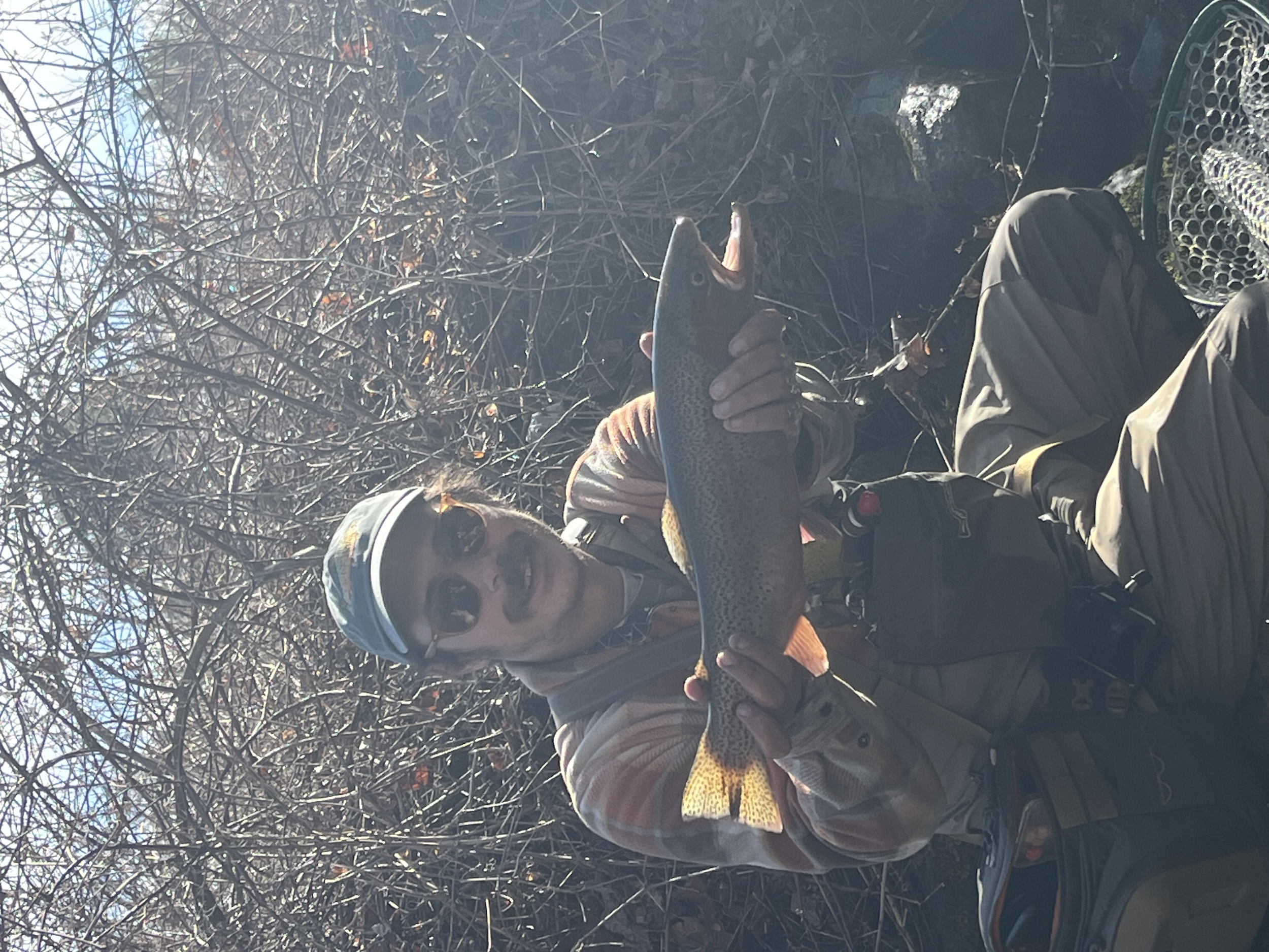 Person wearing sunglasses and a hat sitting outdoors in a wooded area, holding a large fish with both hands.