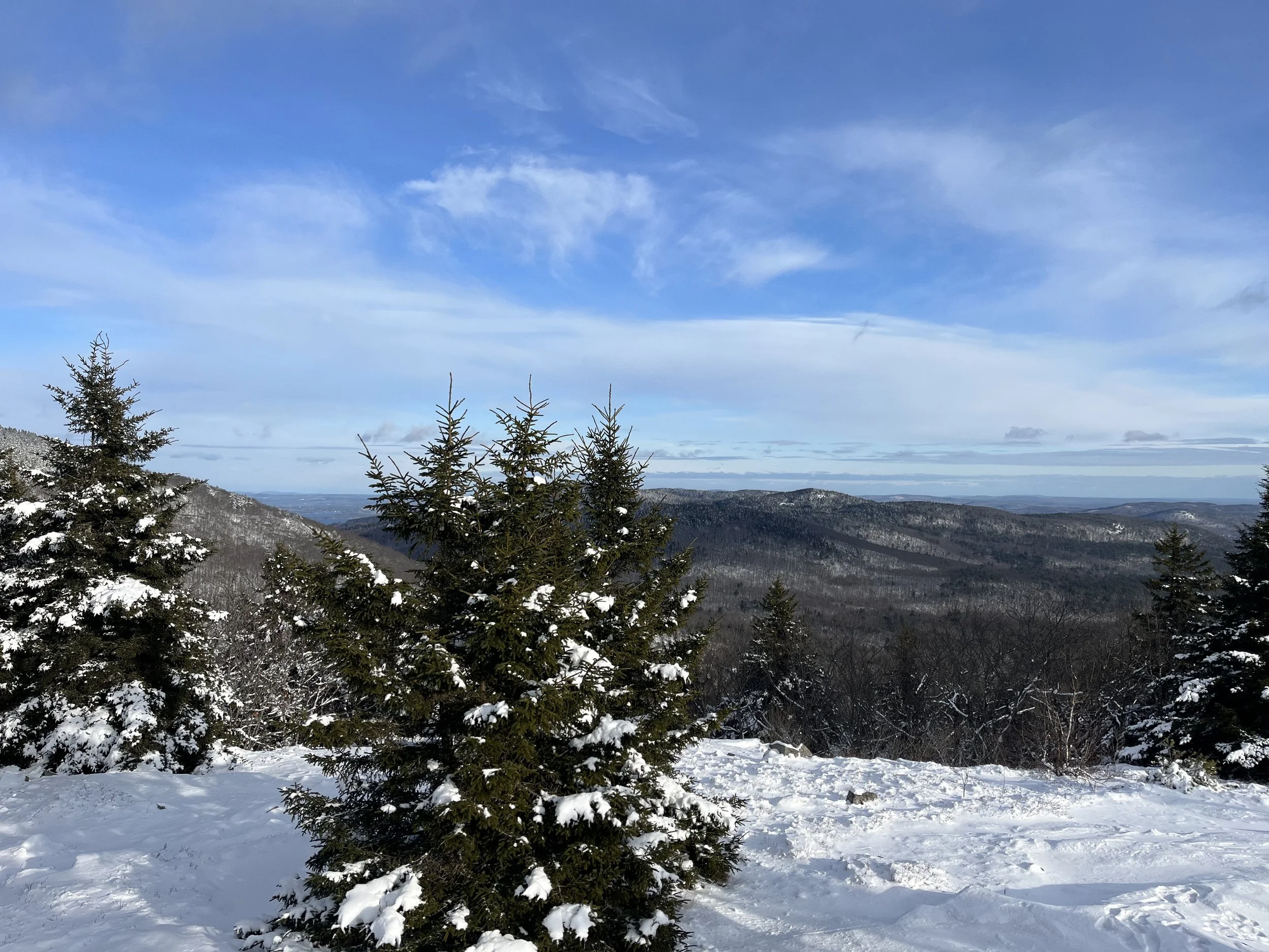 Snow-covered pine trees on a mountain with a distant view of rolling hills and a blue cloudy sky.