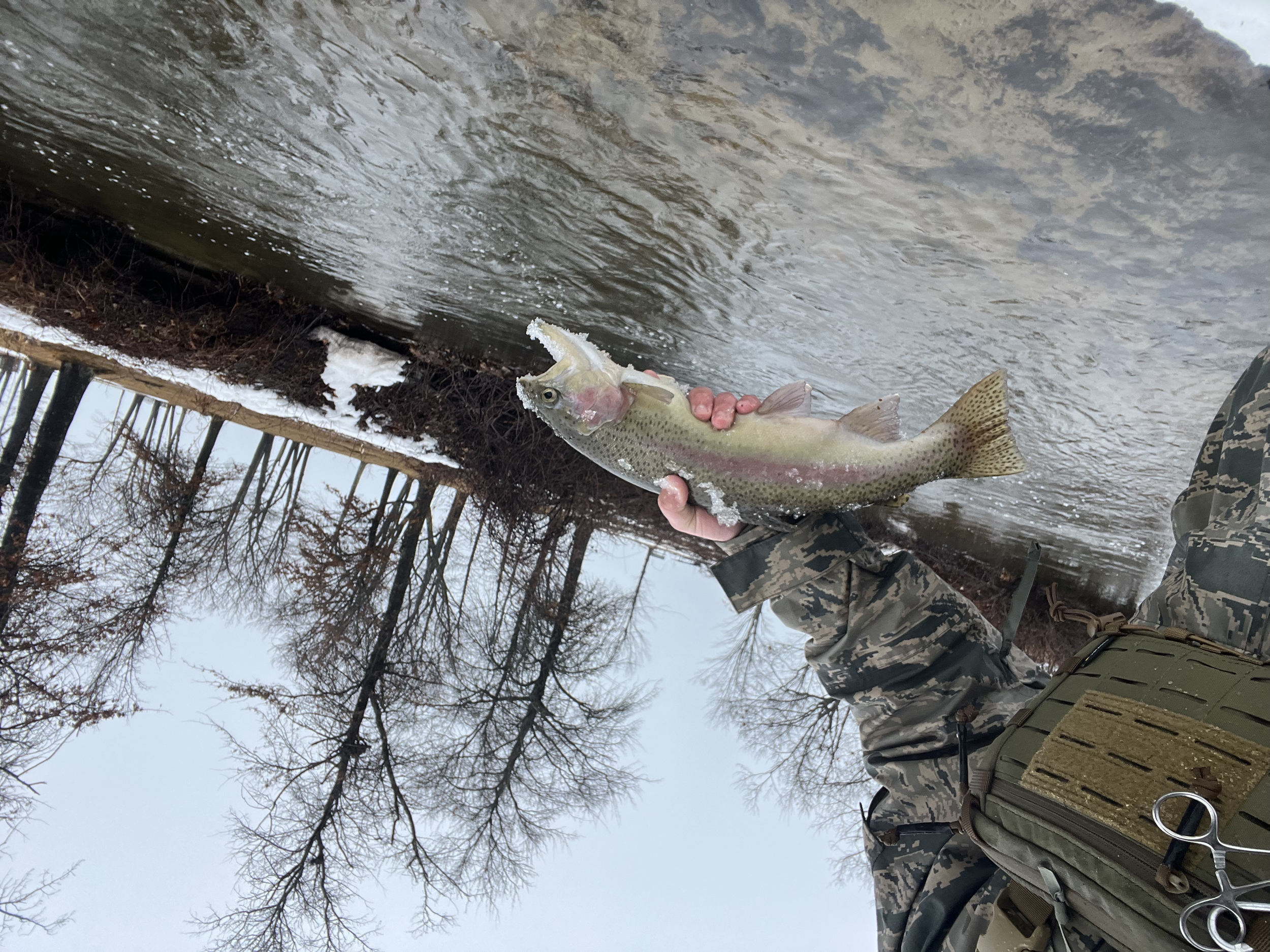 Person in camouflage clothing holding a freshly caught rainbow trout near a riverbank with leafless trees in the background.