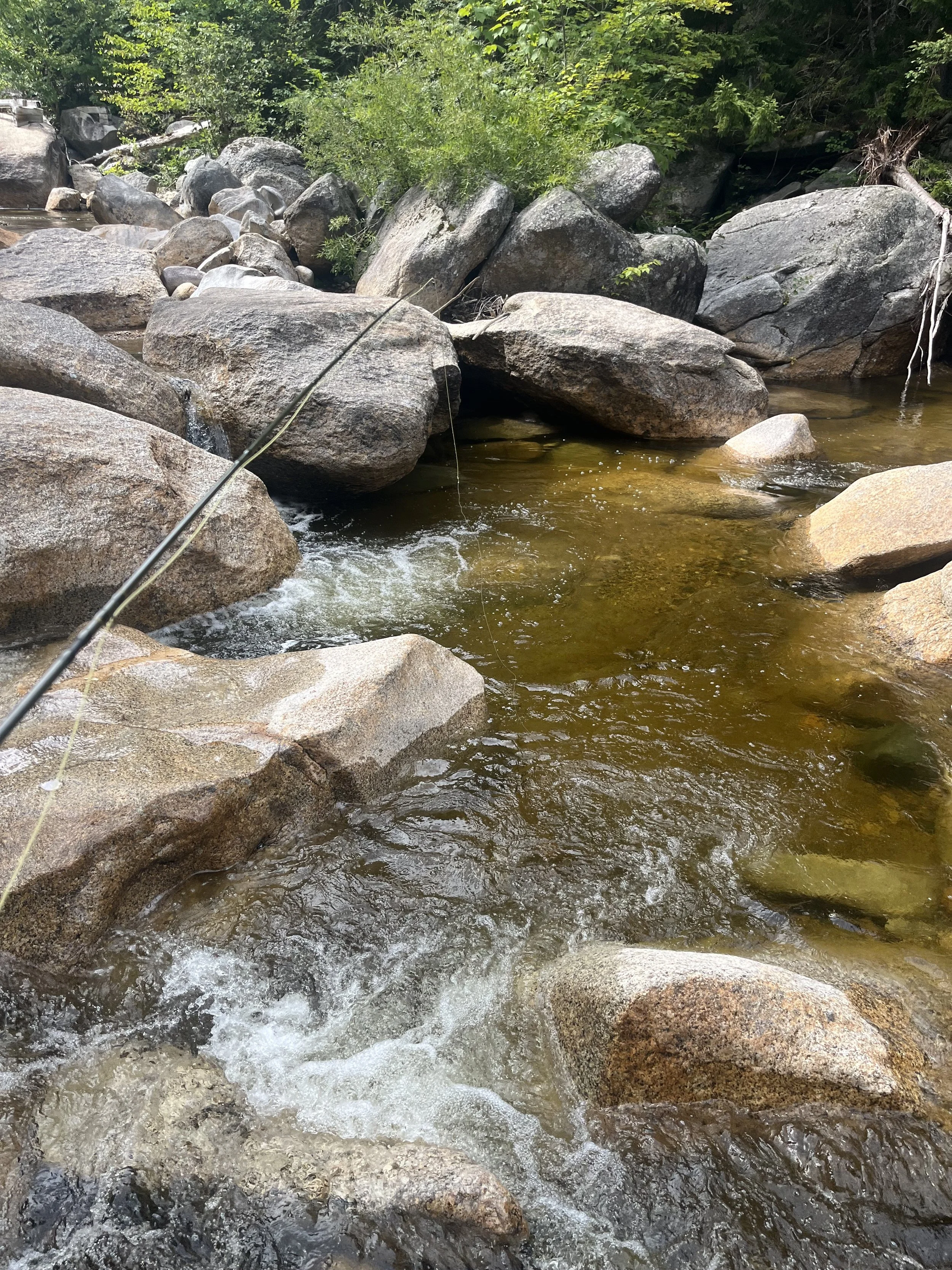 A clear creek with water flowing over rocks and boulders, surrounded by green trees and foliage.