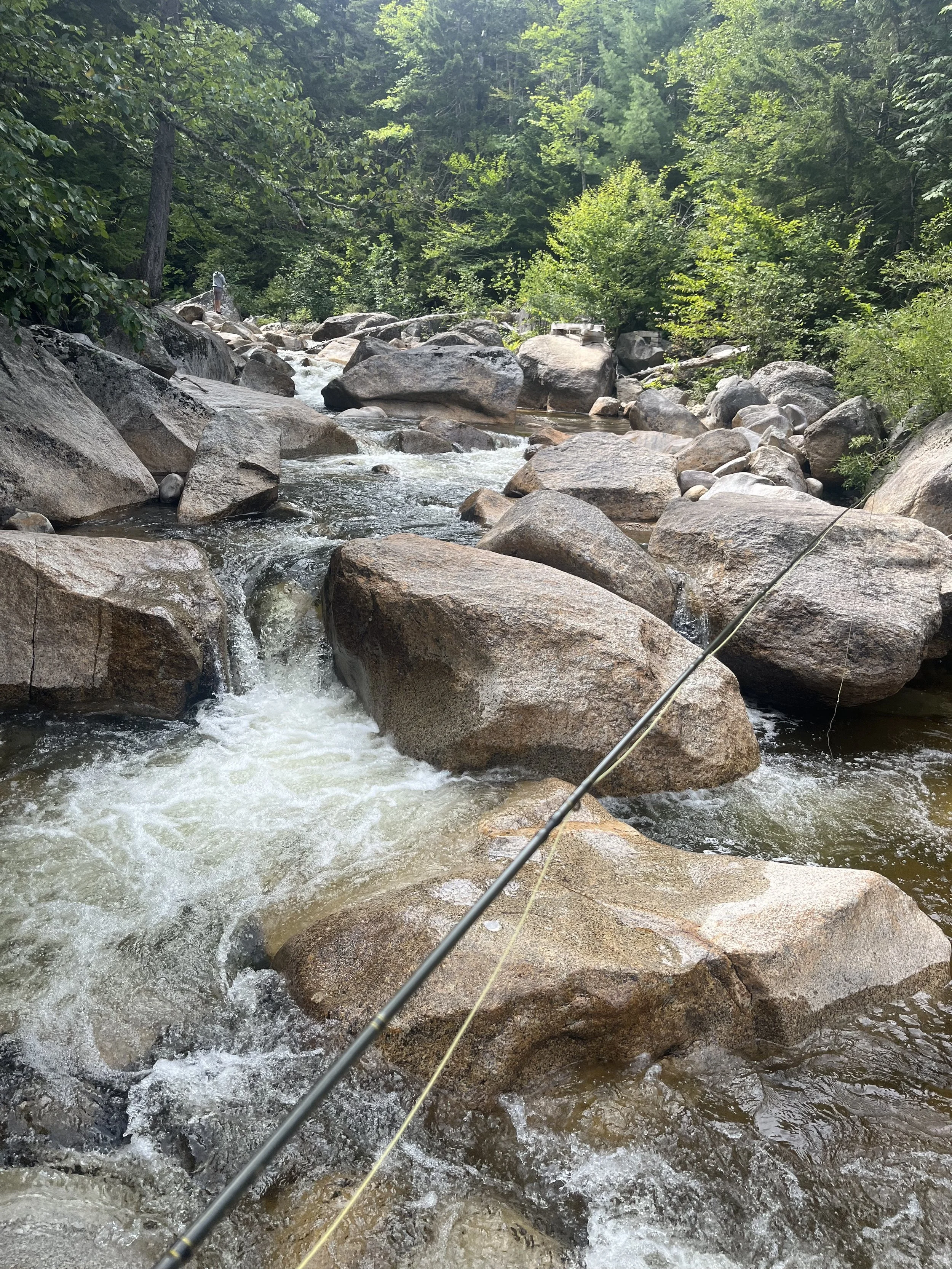 A person fishing in a rocky mountain stream surrounded by trees.