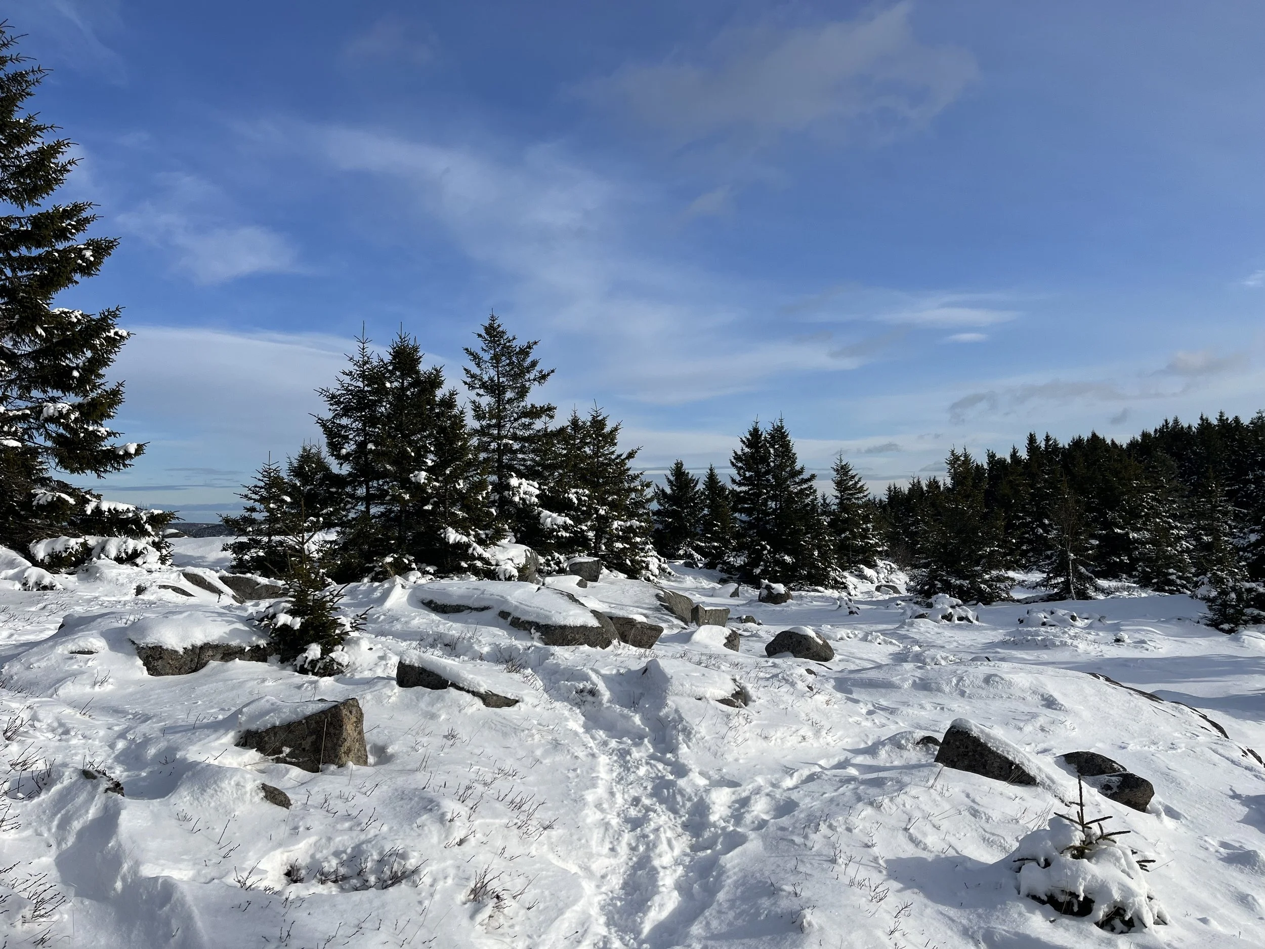 Snow-covered landscape with pine trees and rocks, under a partly cloudy blue sky.
