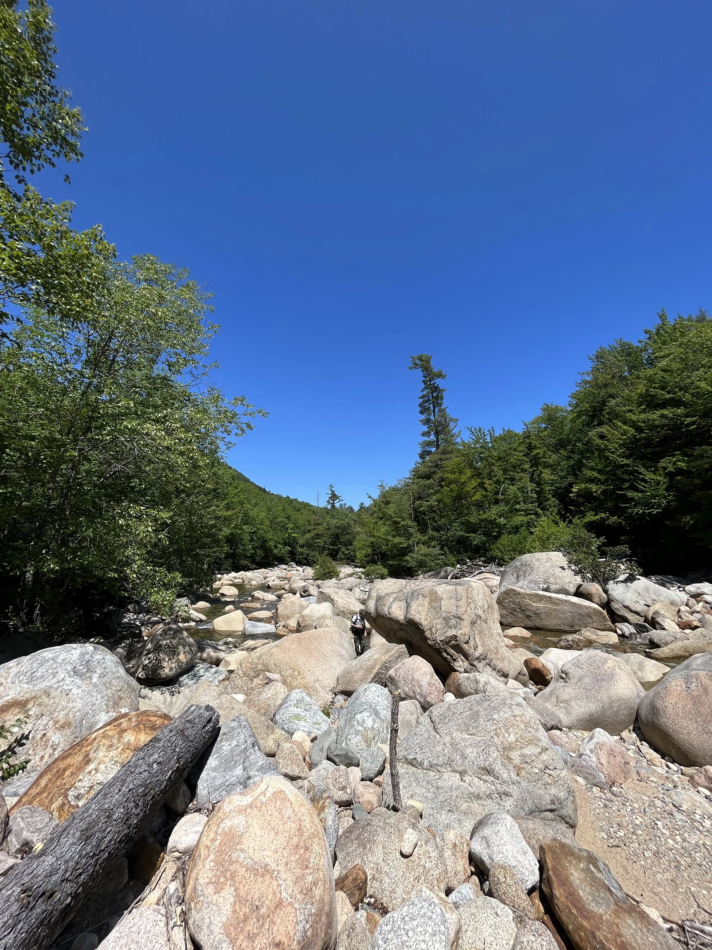 A rocky riverbed surrounded by green trees under a bright blue sky.