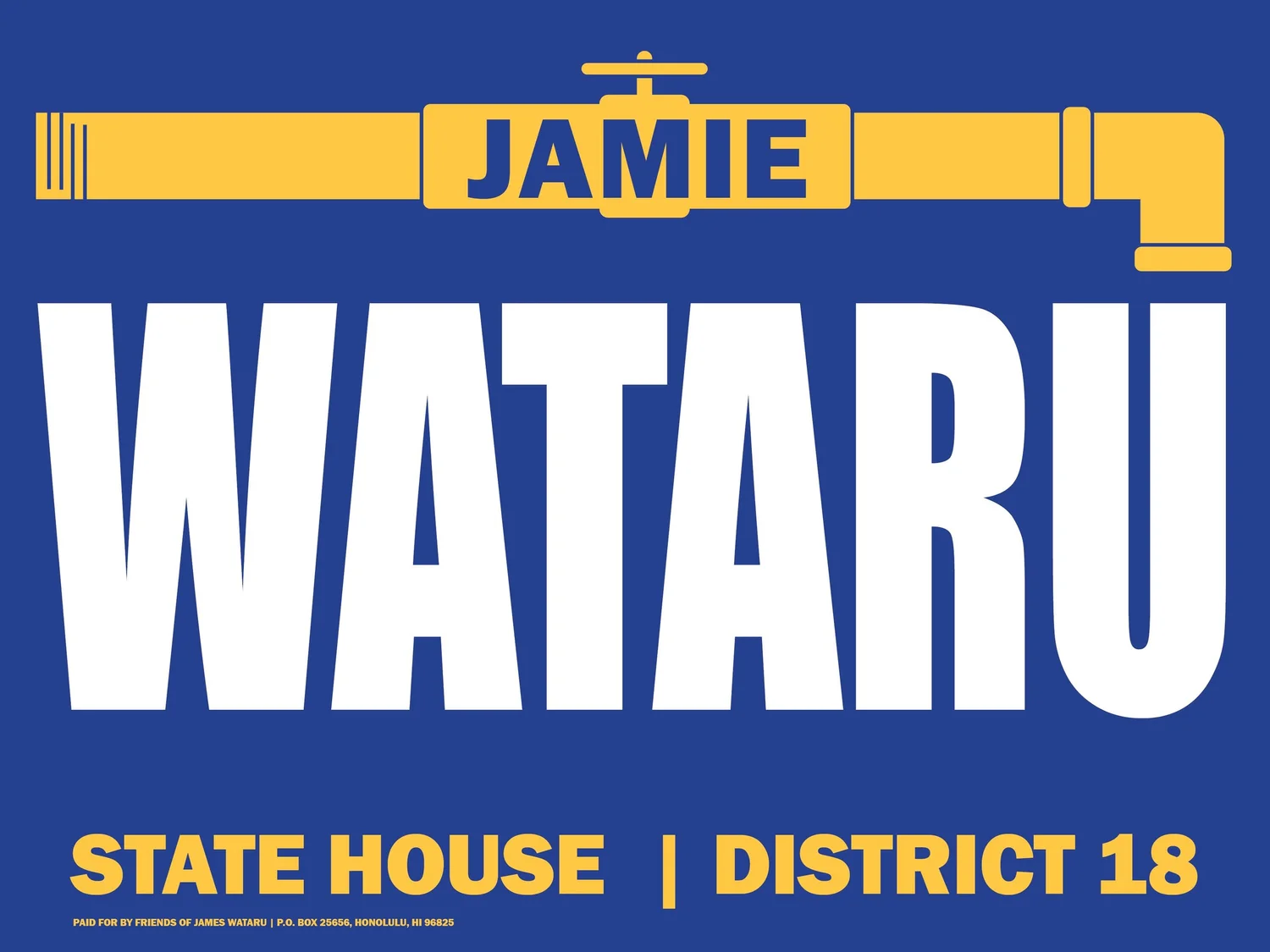 Jamie Wataru for State House