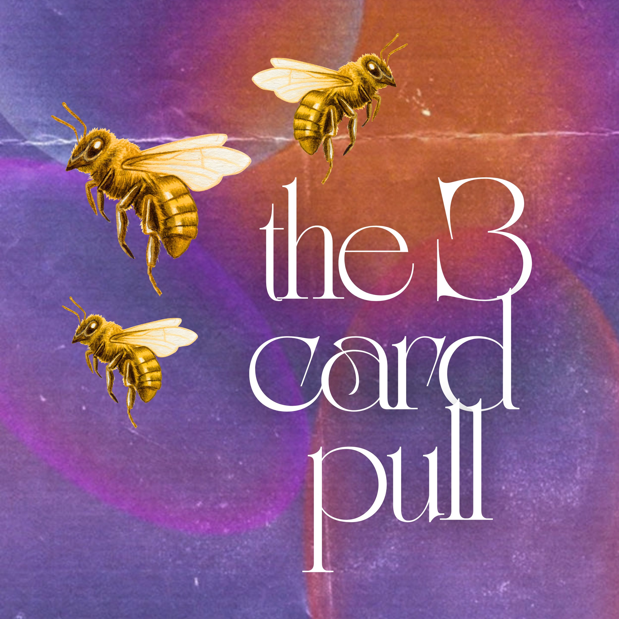 the 3 card pull
