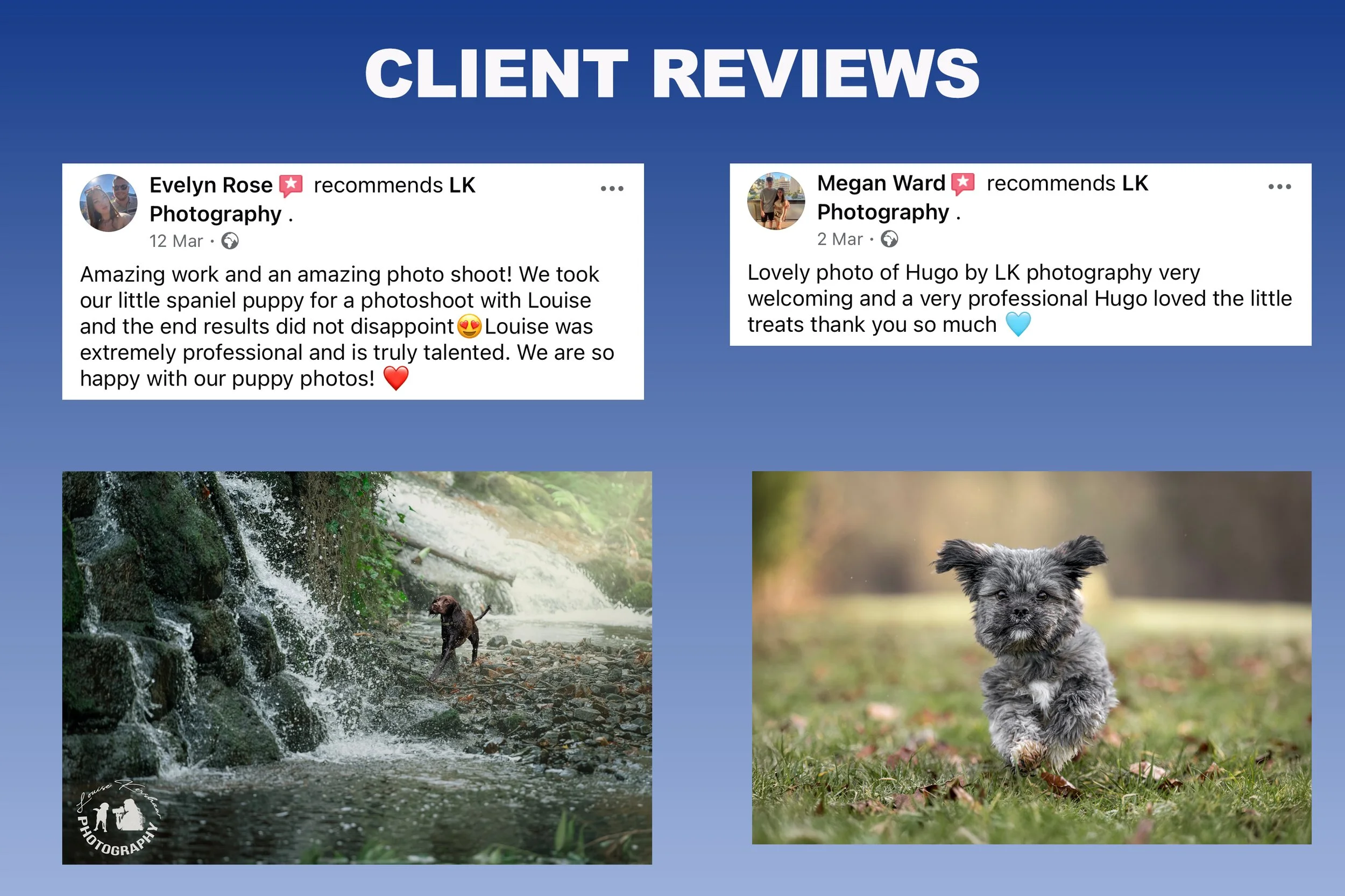 Review template2_.jpeg