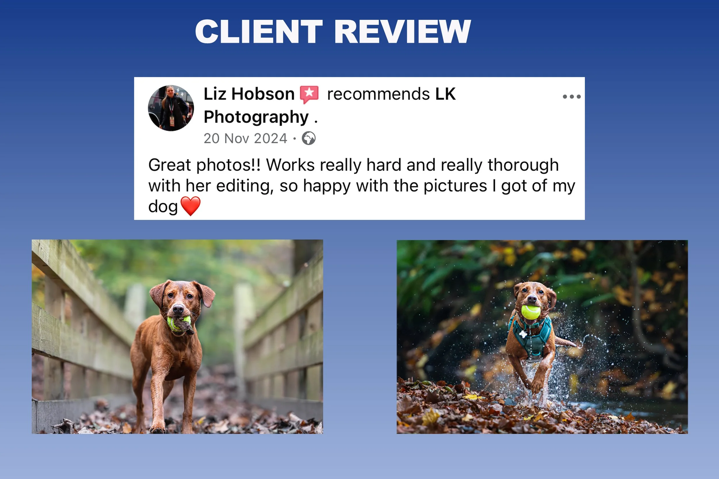 Review template4_.jpeg