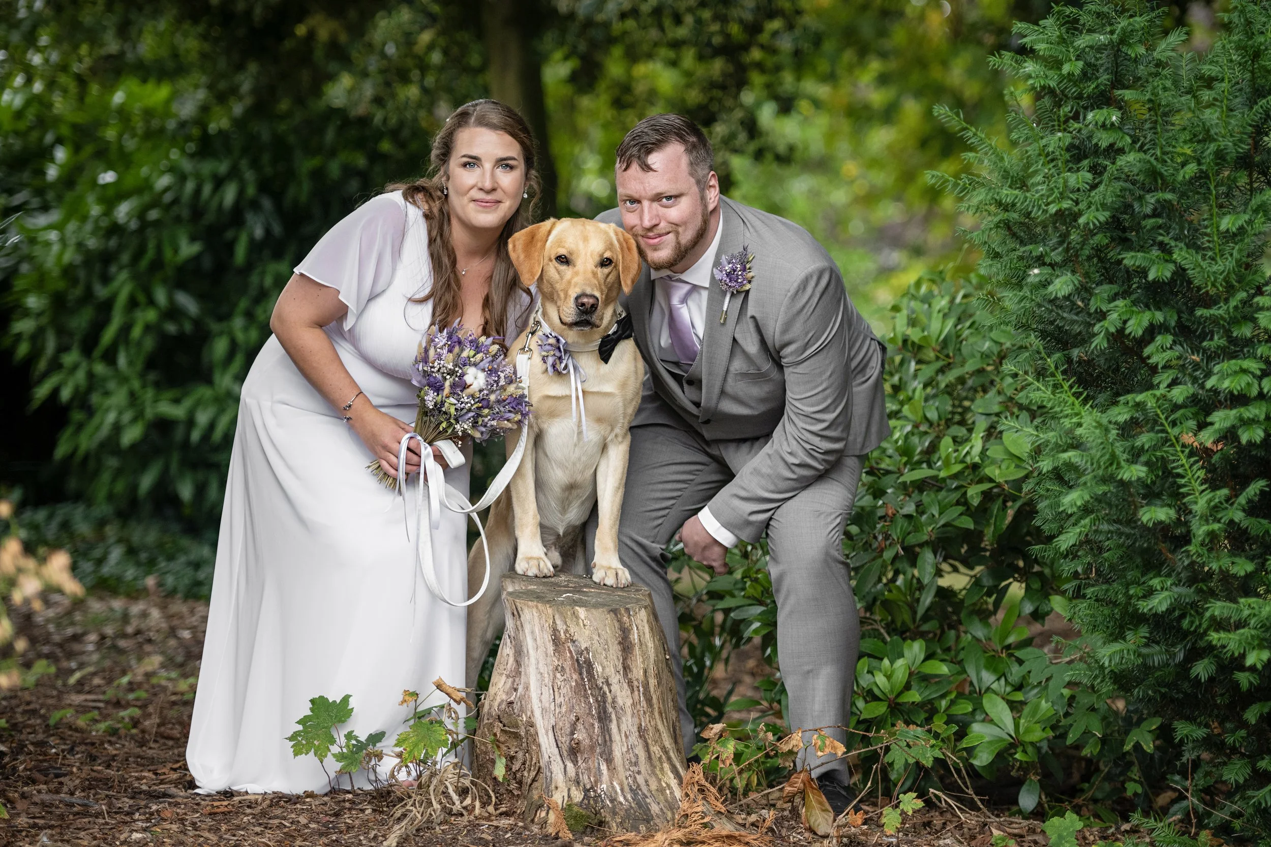 A newlywed couple with a yellow Labrador wearing a bowtie, posing outdoors in a forest, with the dog standing on a tree stump, surrounded by green foliage.