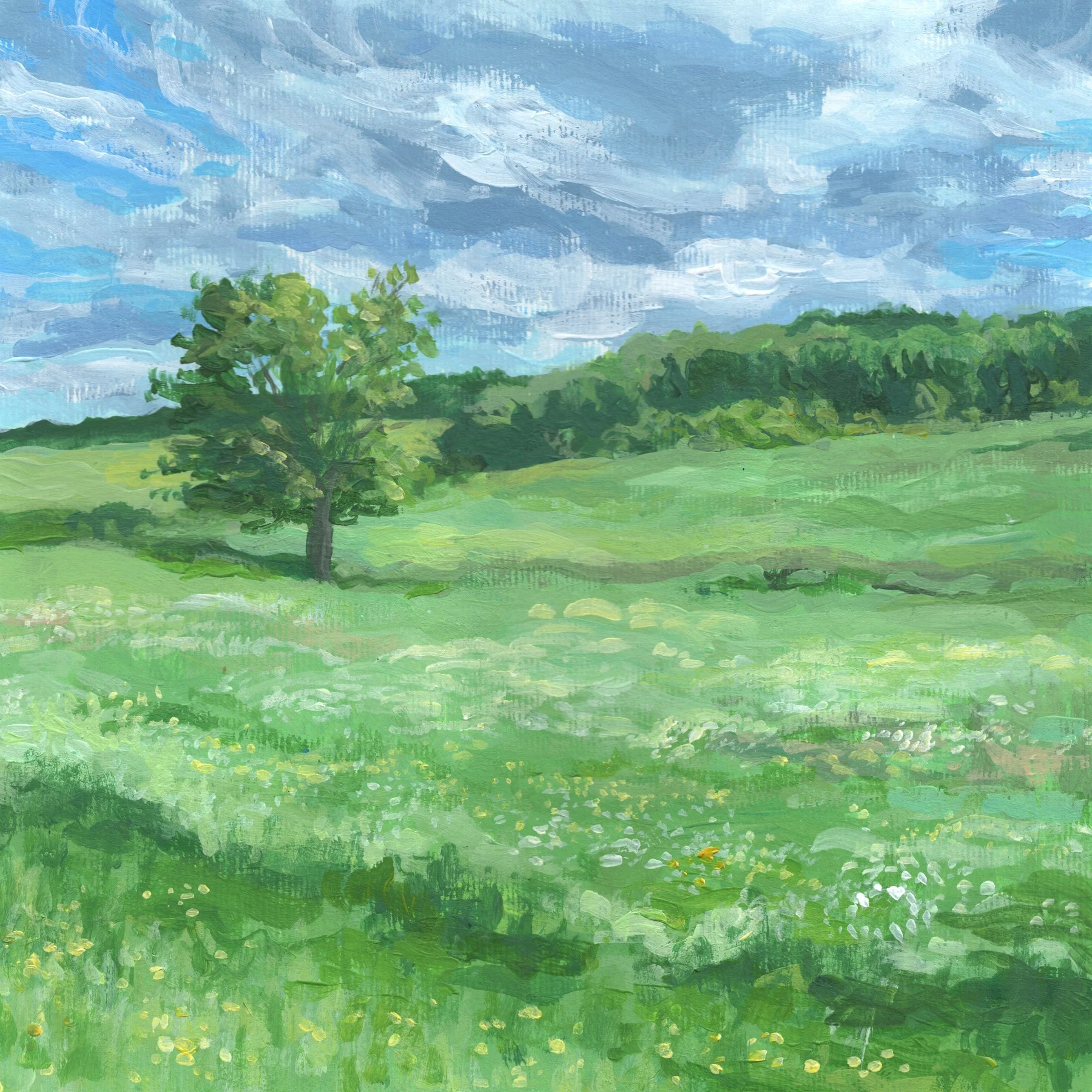 "Meadow, Western Massachusetts," Acrylic on panel, 8"x8", 2026