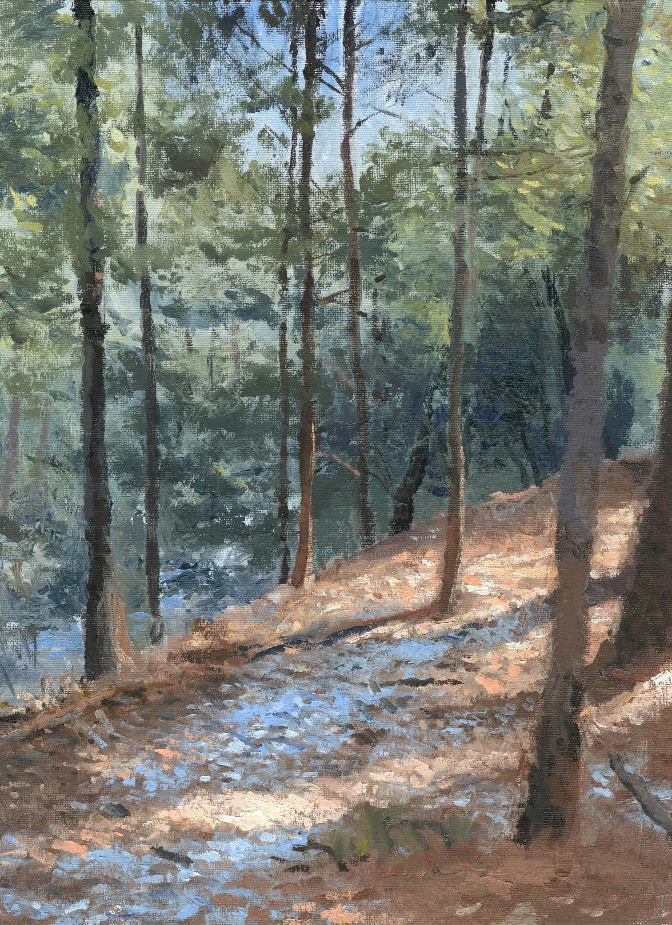 "Ravine Trail March," Oil on canvas panel, 12"x16", 2024