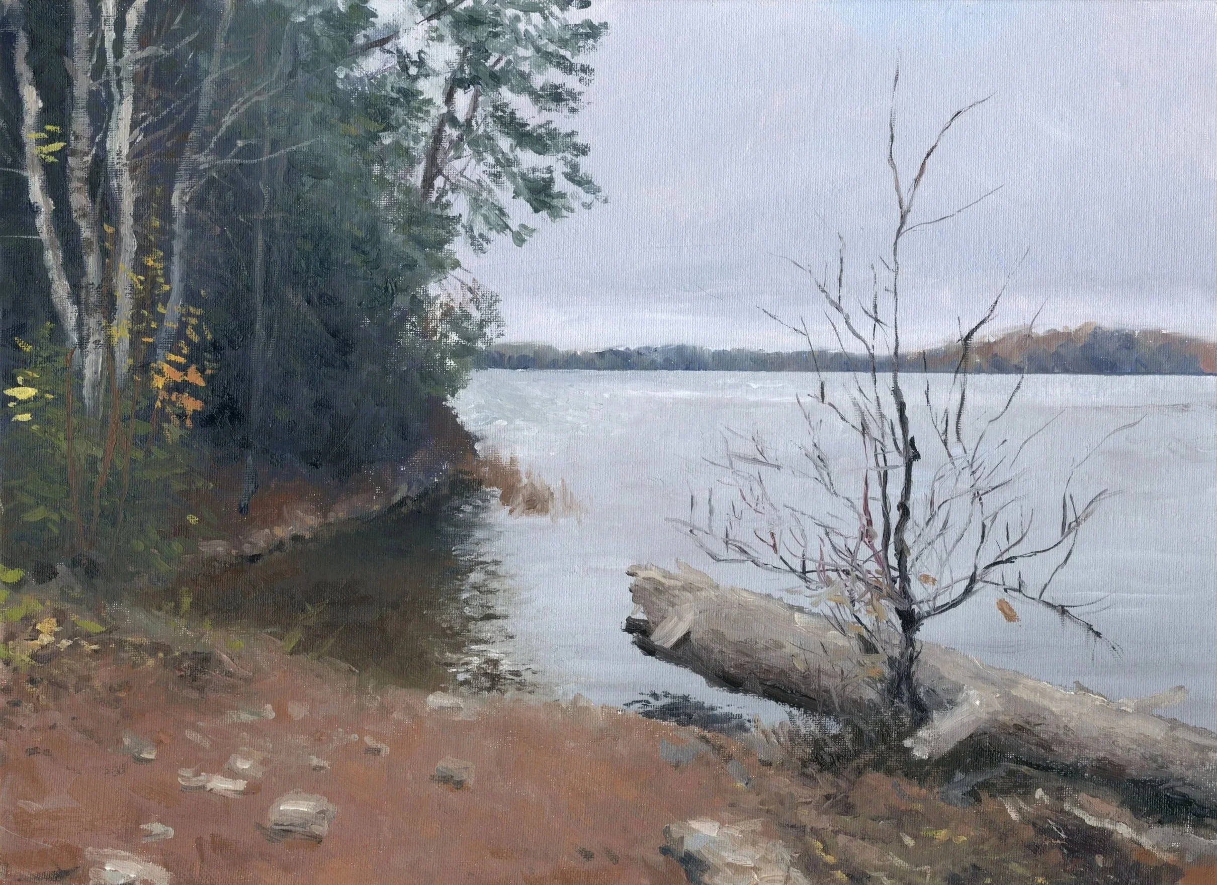 "Pond Trail," Oil on canvas panel, 12"x16", 2024