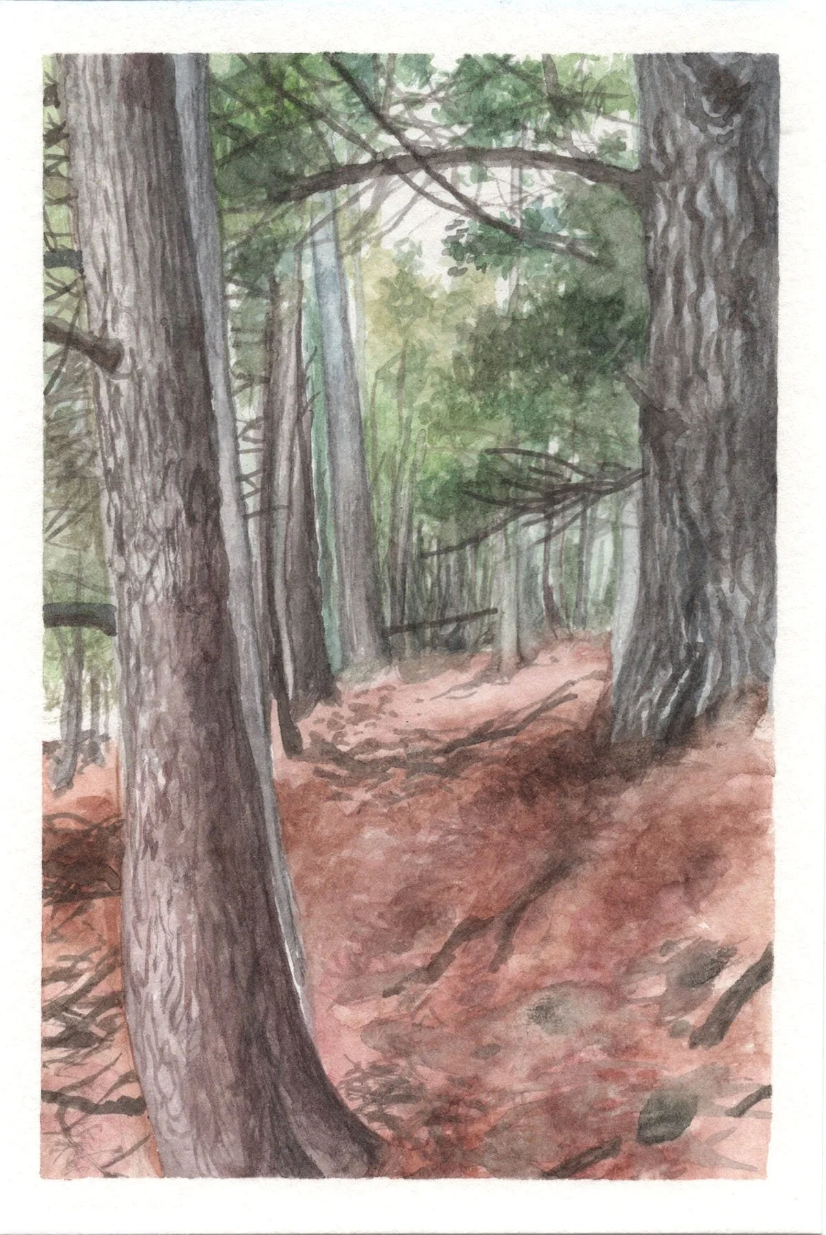 "Fields Pond Trail," Watercolor on paper, 4"x6", 2022