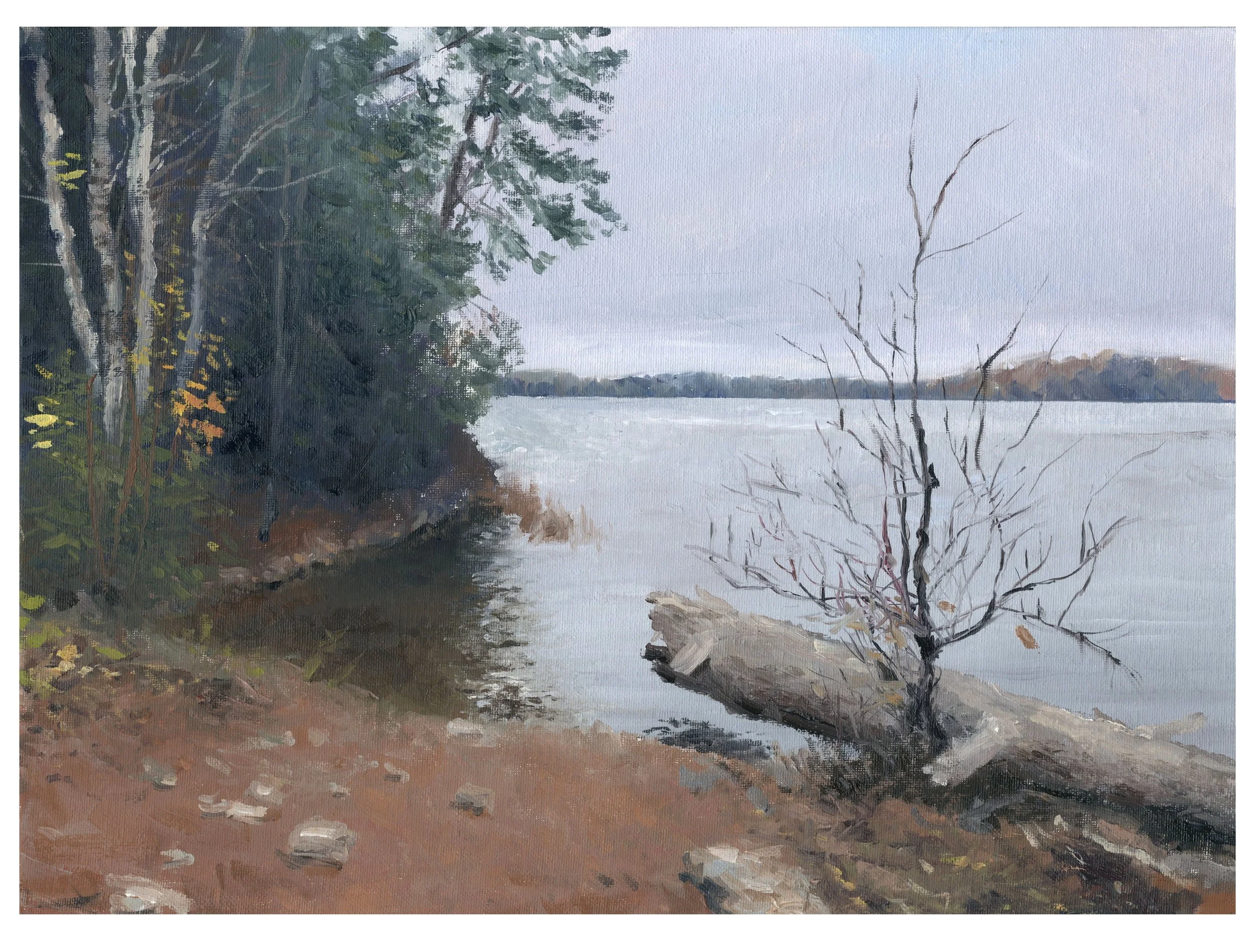 "Pond Trail," Oil on canvas panel, 12"x16", 2024