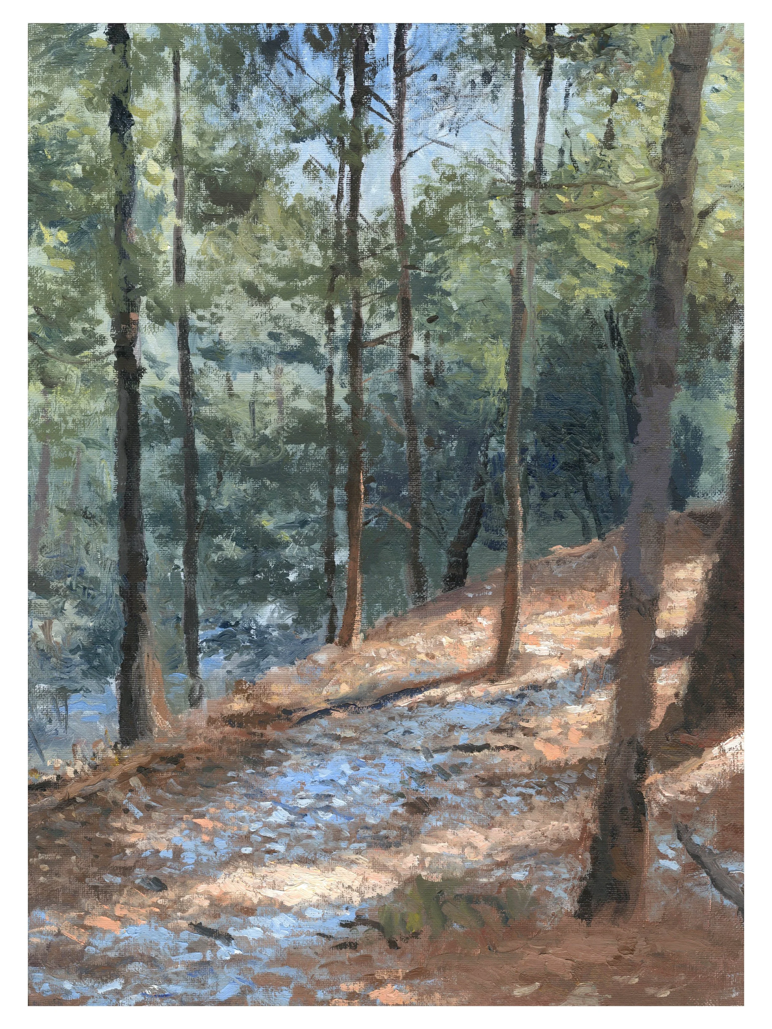 "Ravine Trail March," Oil on canvas panel, 12"x16", 2024