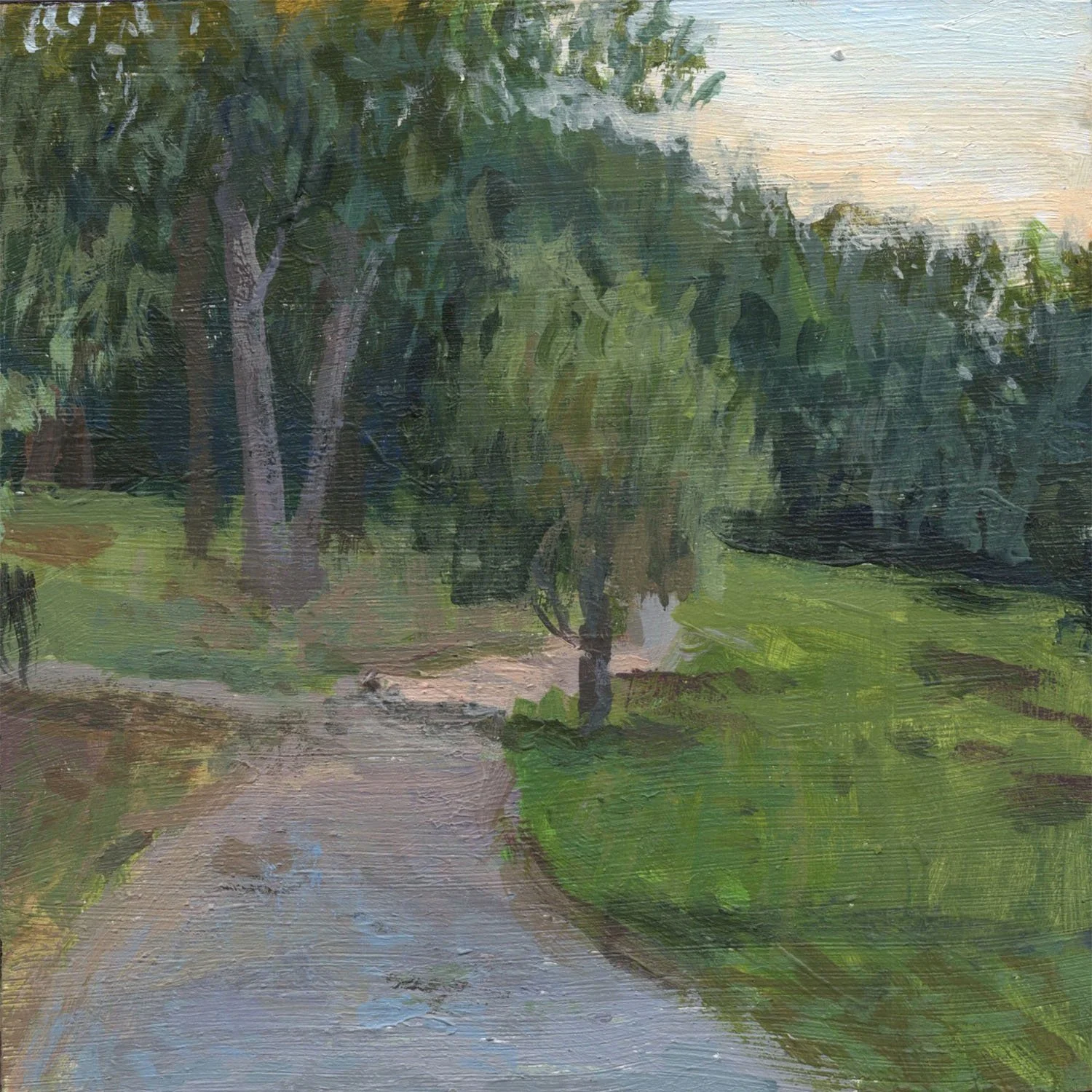 Dusk over The Emerald Necklace.jpg