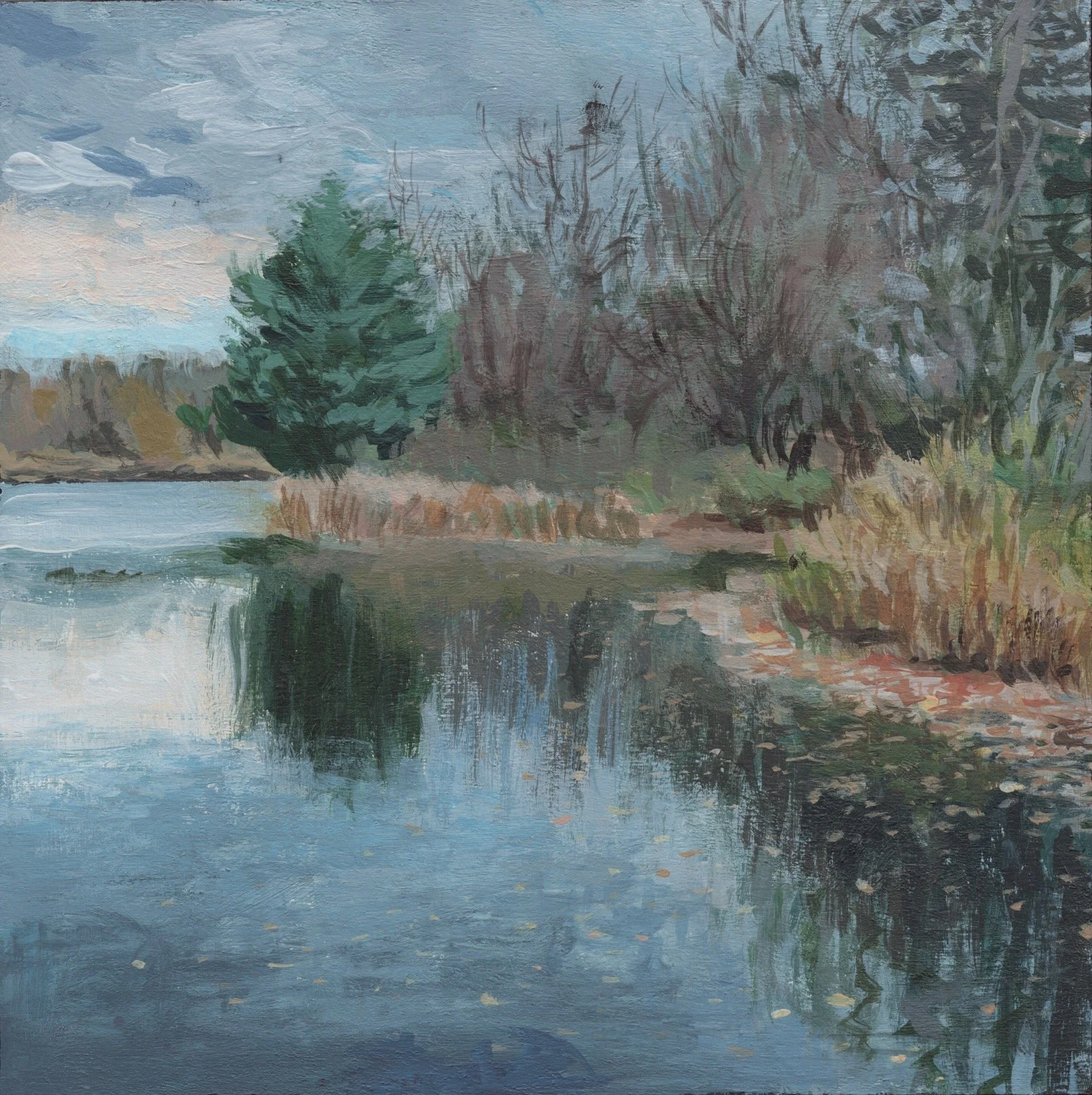 Institute Park November.jpeg