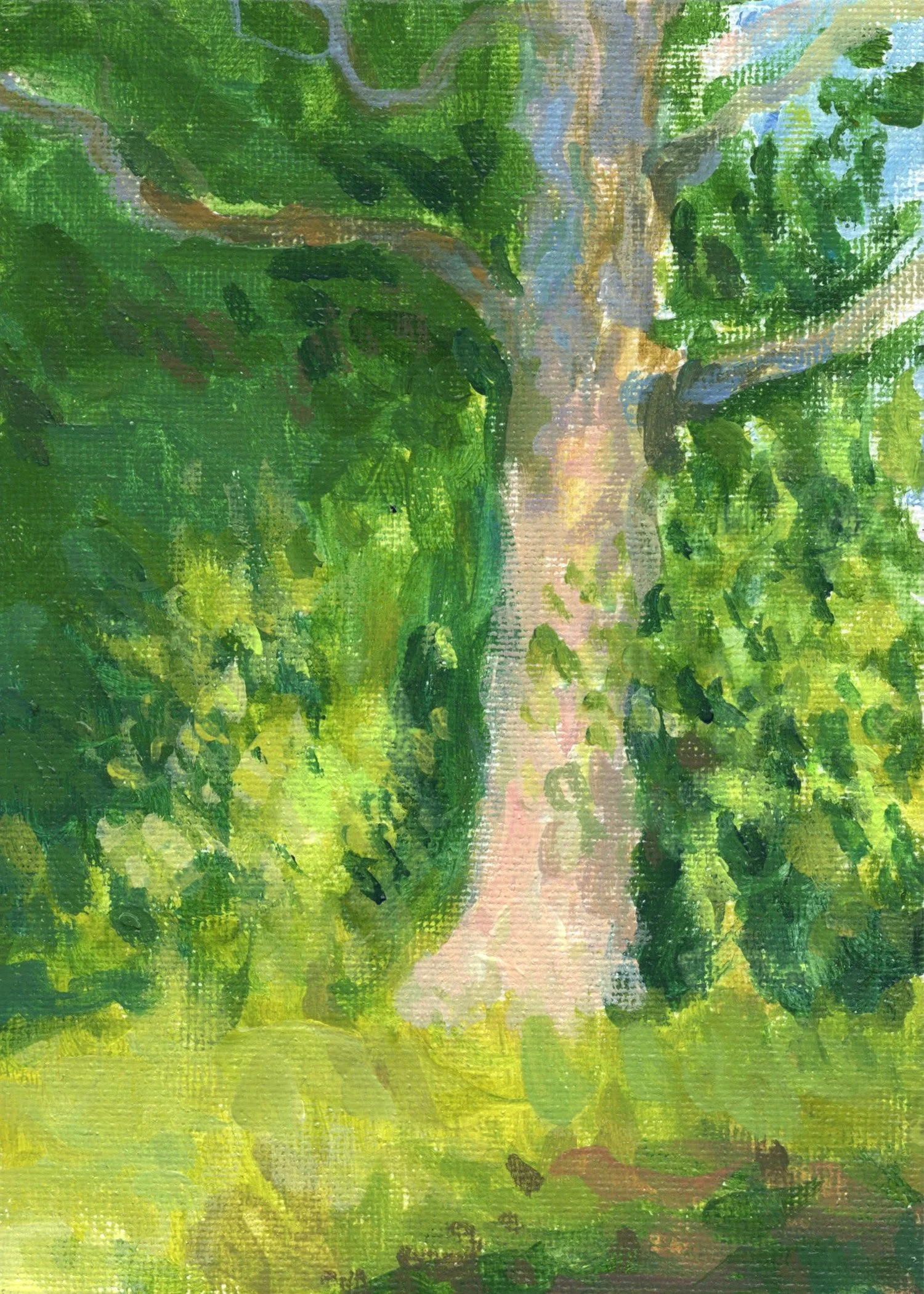 "Institute Park Study 3," Acrylic on canvas panel, 5"x7", 2026