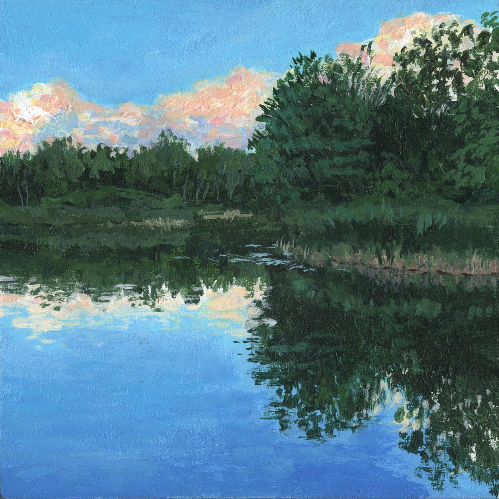 Institute Park, Summer dusk.jpg