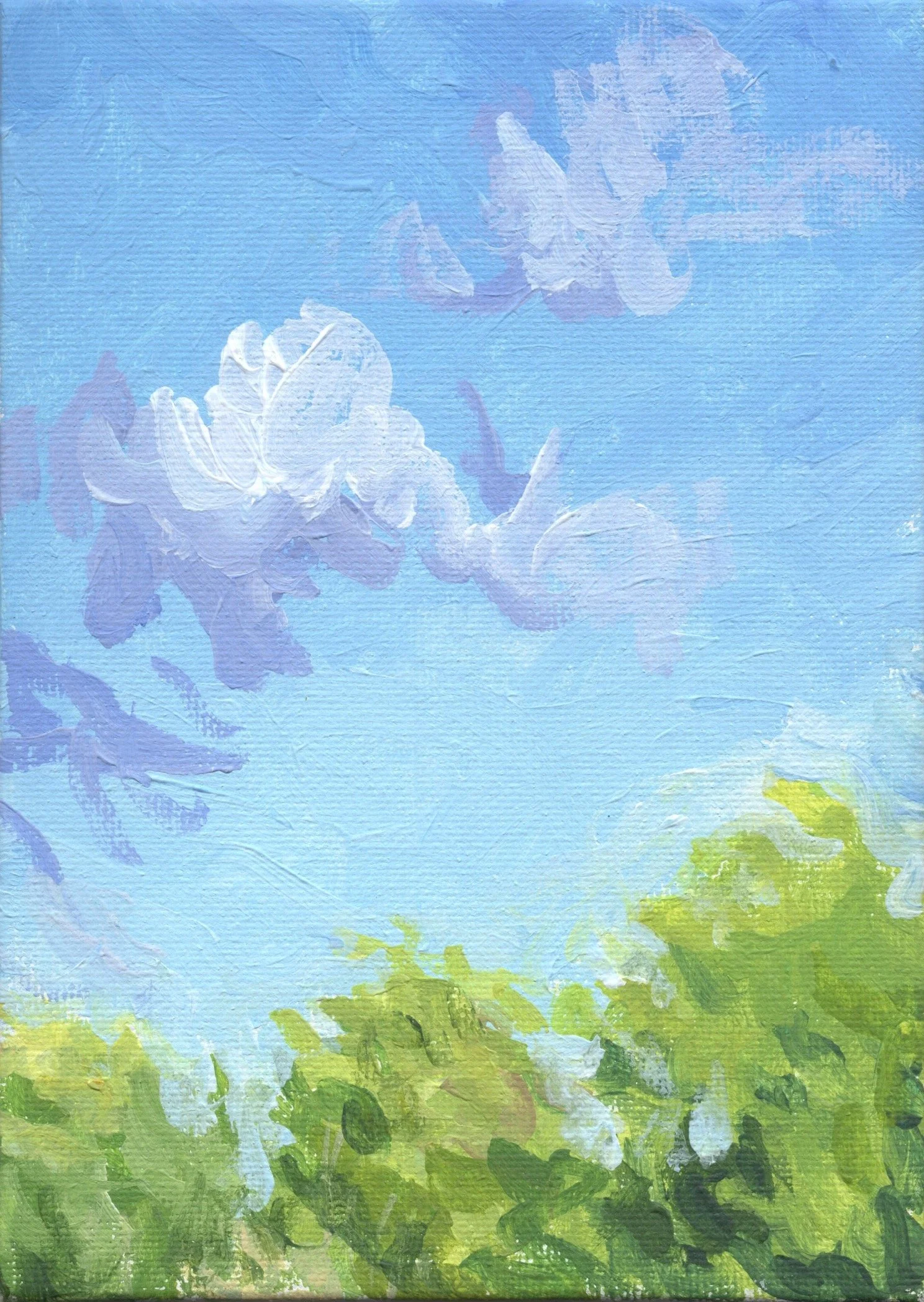 "Institute Park Study 7," Acrylic on canvas panel, 5"x7", 2026