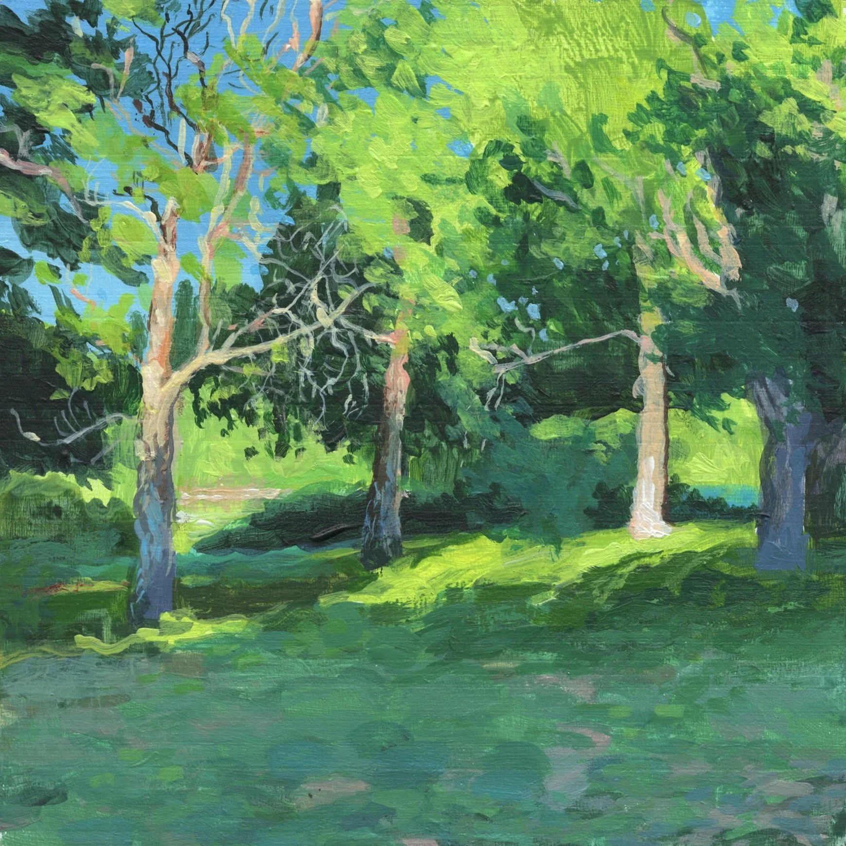 Institute Park, summer sunlight.jpg