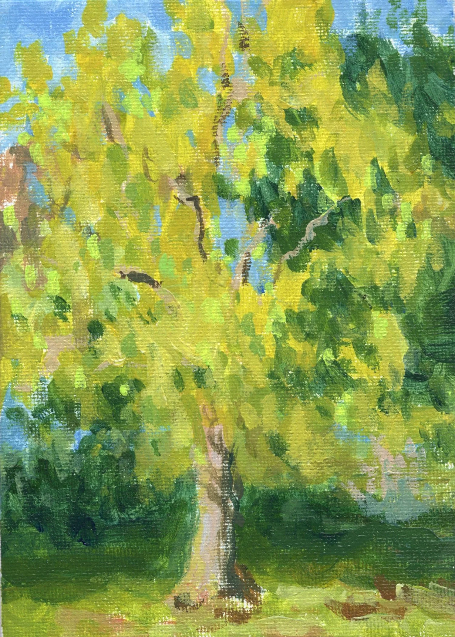 "Institute Park Study 4," Acrylic on canvas panel, 5"x7", 2026