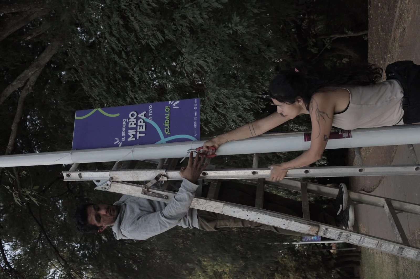 Imagen de WhatsApp 2024-12-10 a las 14.00.17_505fb0a7.jpg