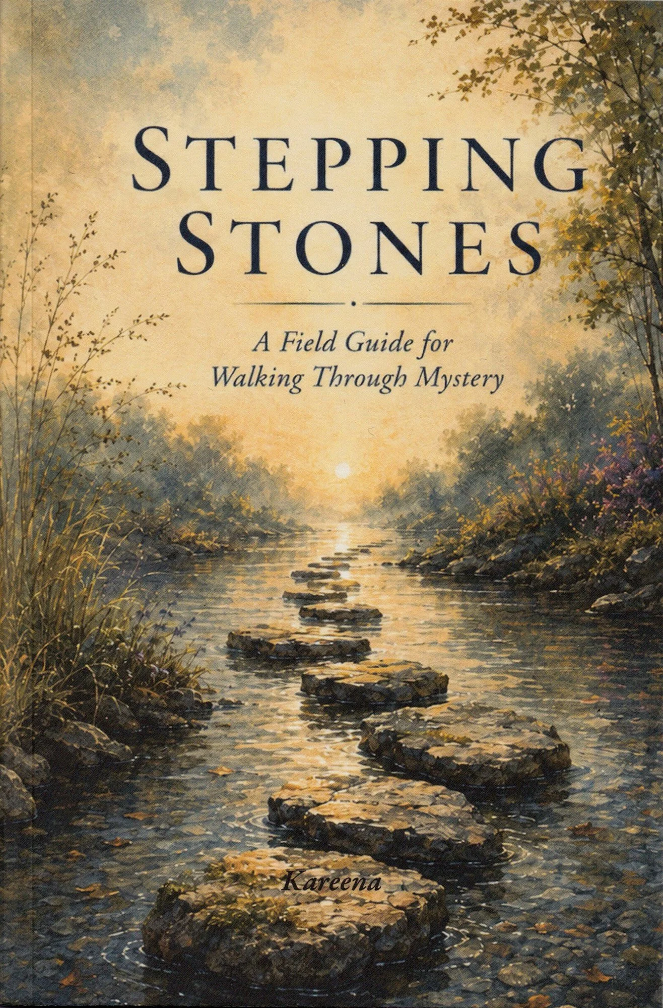 STEPPING STONES.jpg