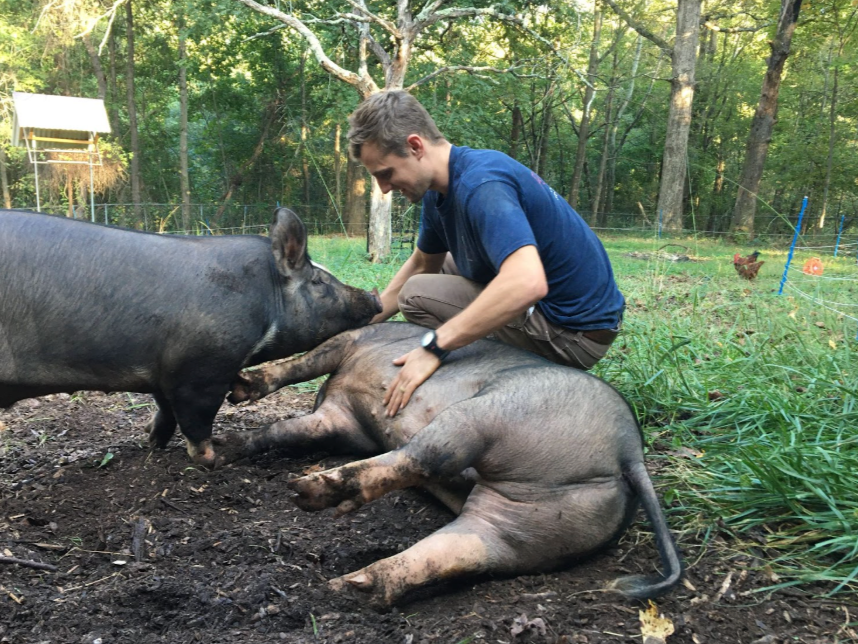 A man with short hair, wearing a blue t-shirt and khaki pants, kneeling down and gently holding a piglet lying on the muddy ground while a larger pig stands nearby in a forested outdoor area.