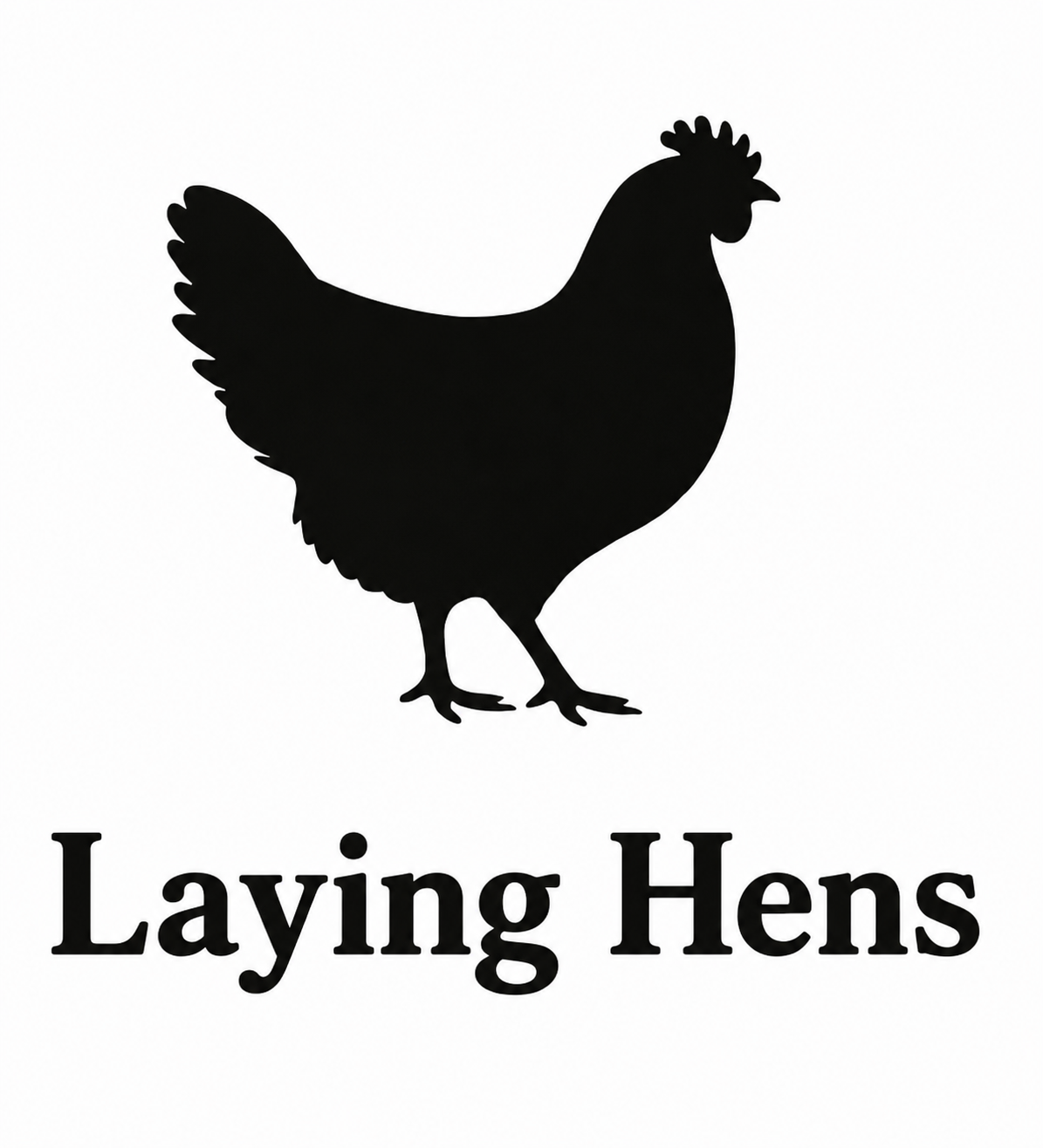 Laying Hens