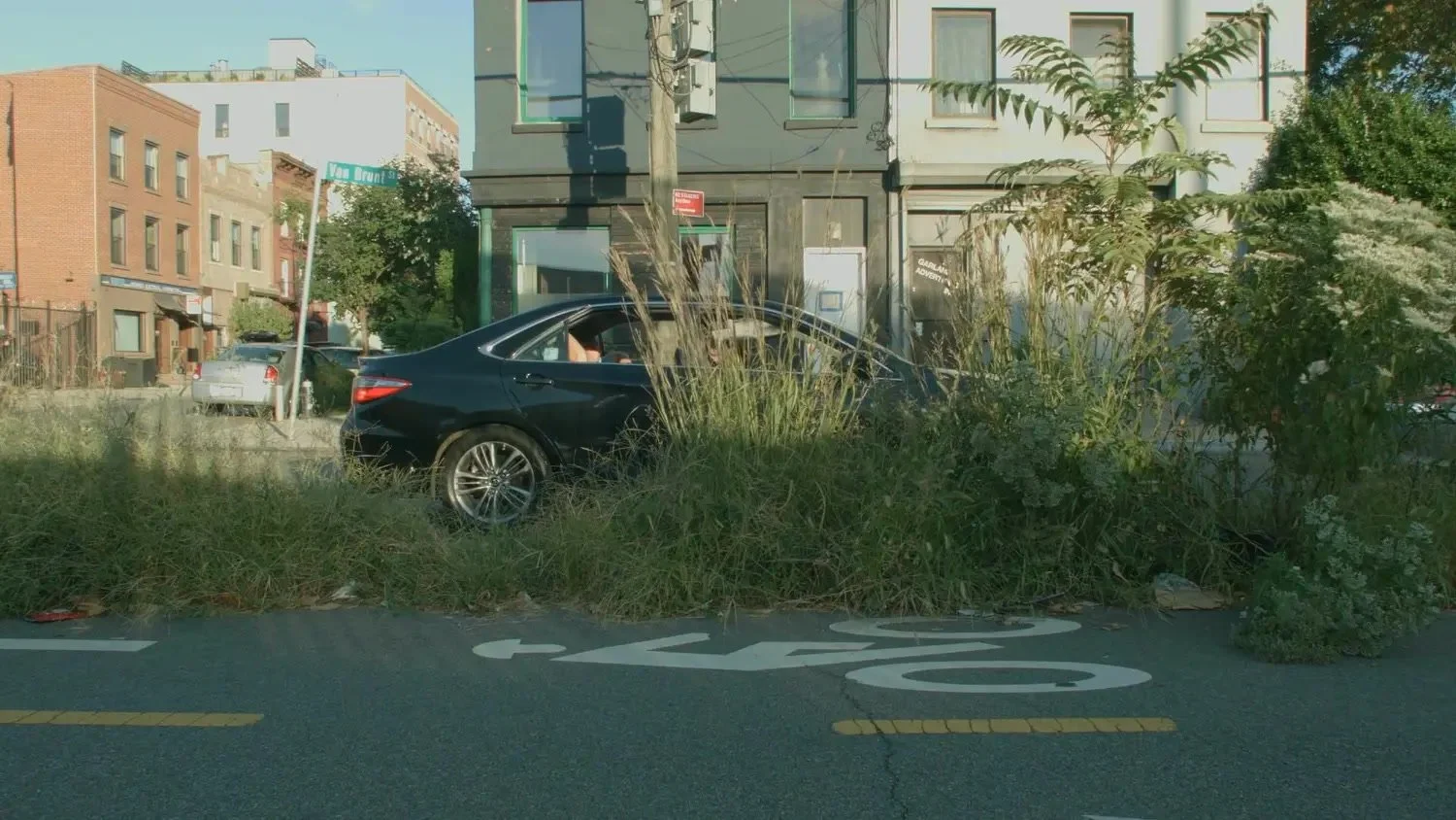 Listening to Our Plant Neighbours - Art Installation by Miranda Bellamy & Amanda Fauteux (Sound Design)