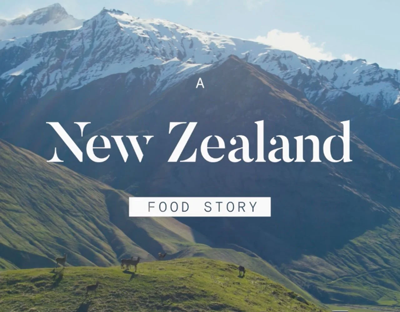 A New Zealand Food Story (Season 1 & 2) - Broadcast Docuseries