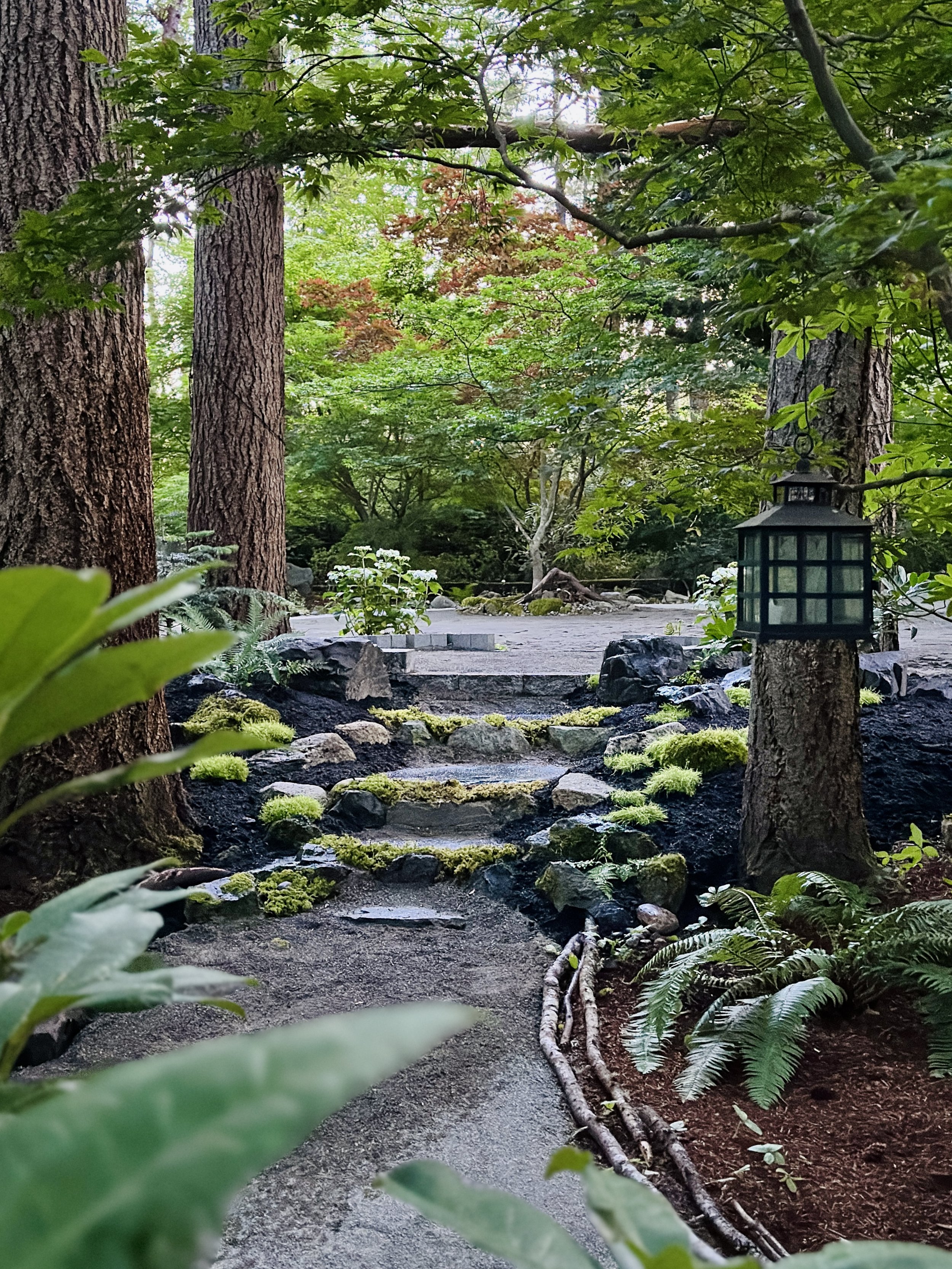A tranquil garden scene with tall trees, lush green foliage, a pathway, and stone steps bordered by moss and rocks, with a vintage lantern attached to a tree trunk.