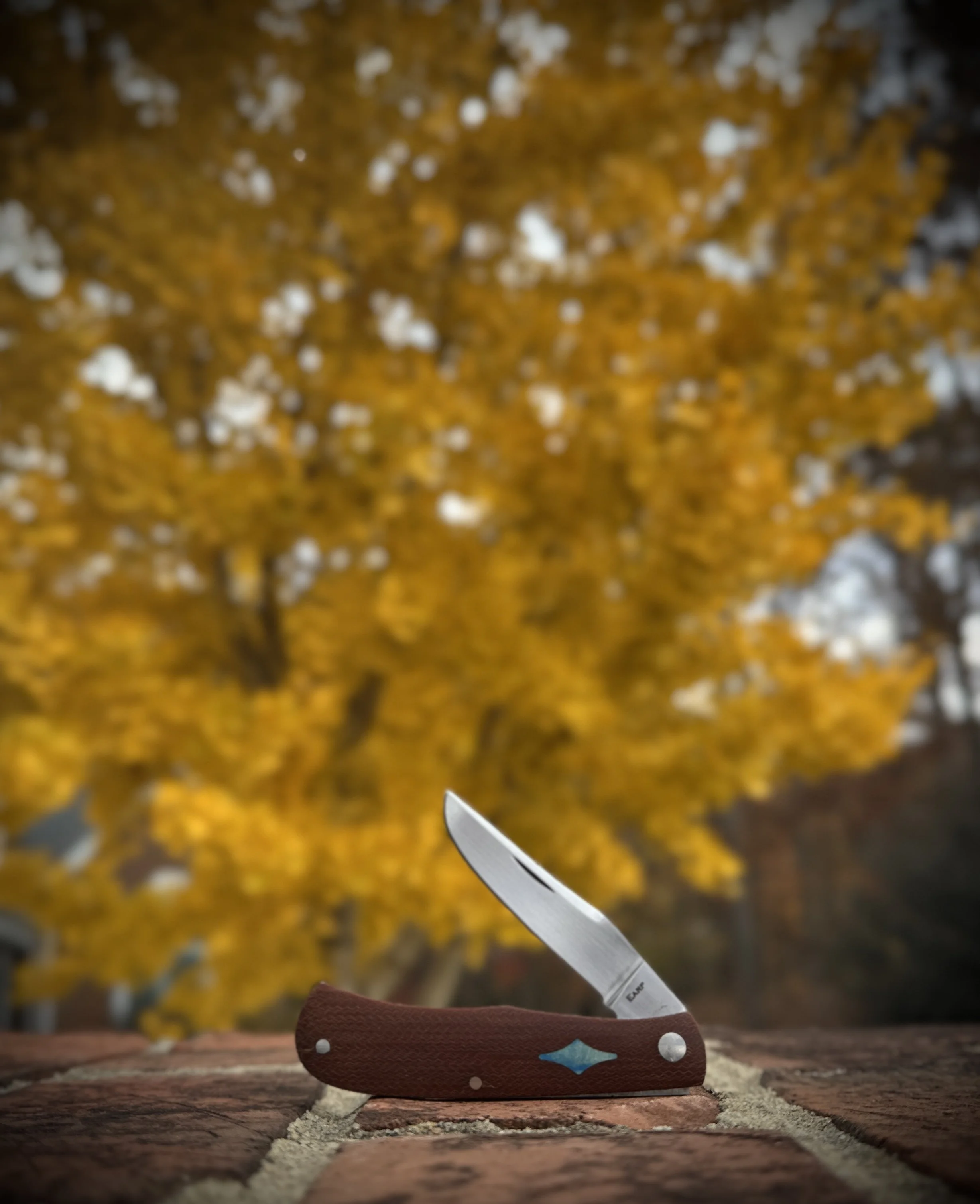 A pocket knife with a brown handle and a silver blade resting on a brick surface, with a background of yellow autumn leaves on trees.