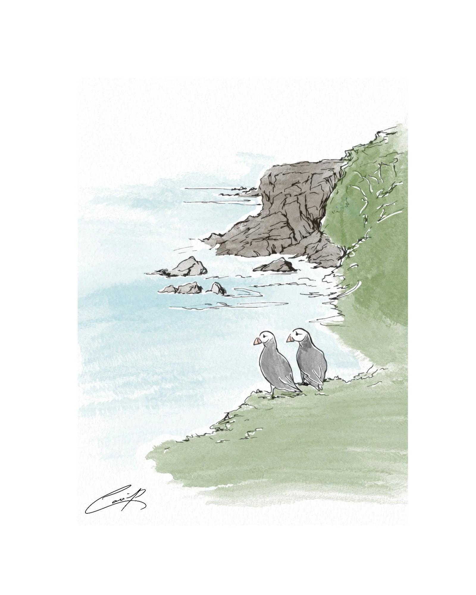 Atlantic Puffins | Digital Download