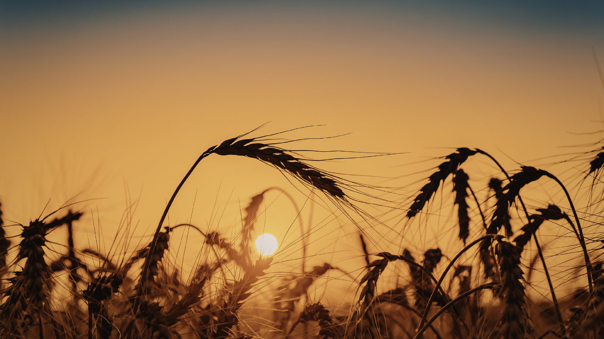 What Do You See in the Darkness?