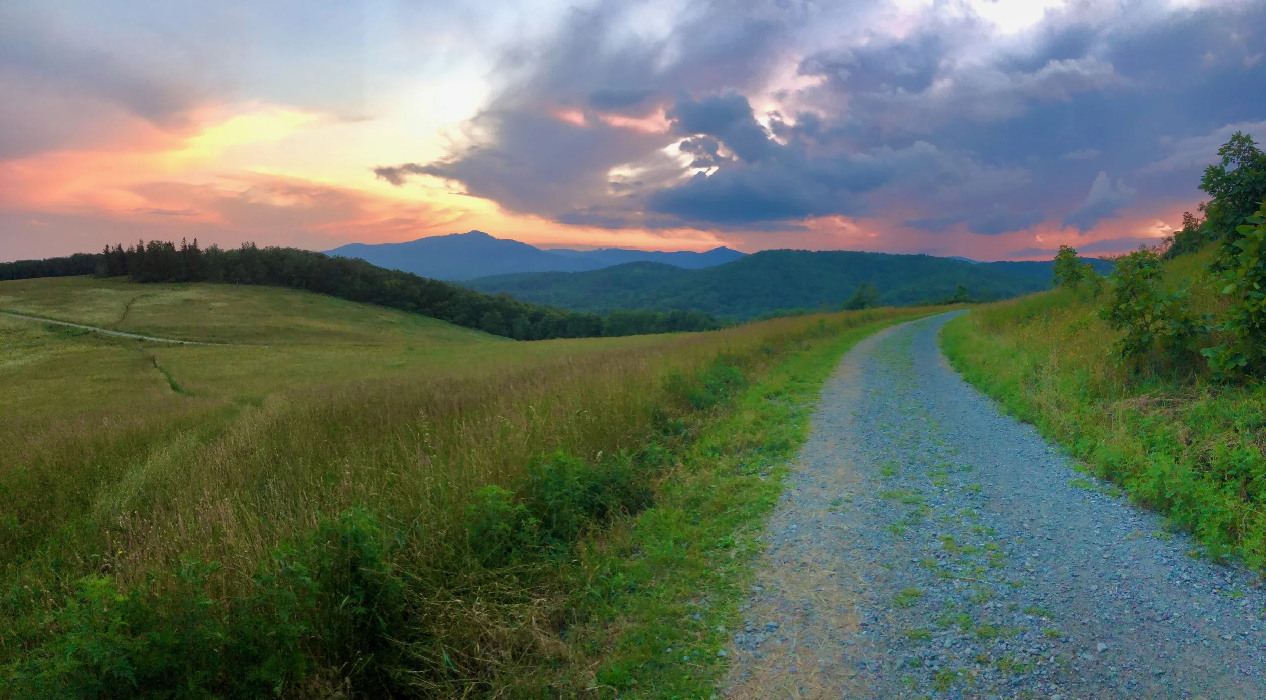 The Way to Life
