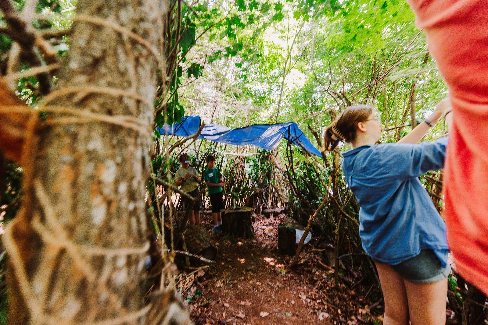 People exploring a dense forest with a blue tarp canopy and a narrow dirt path.