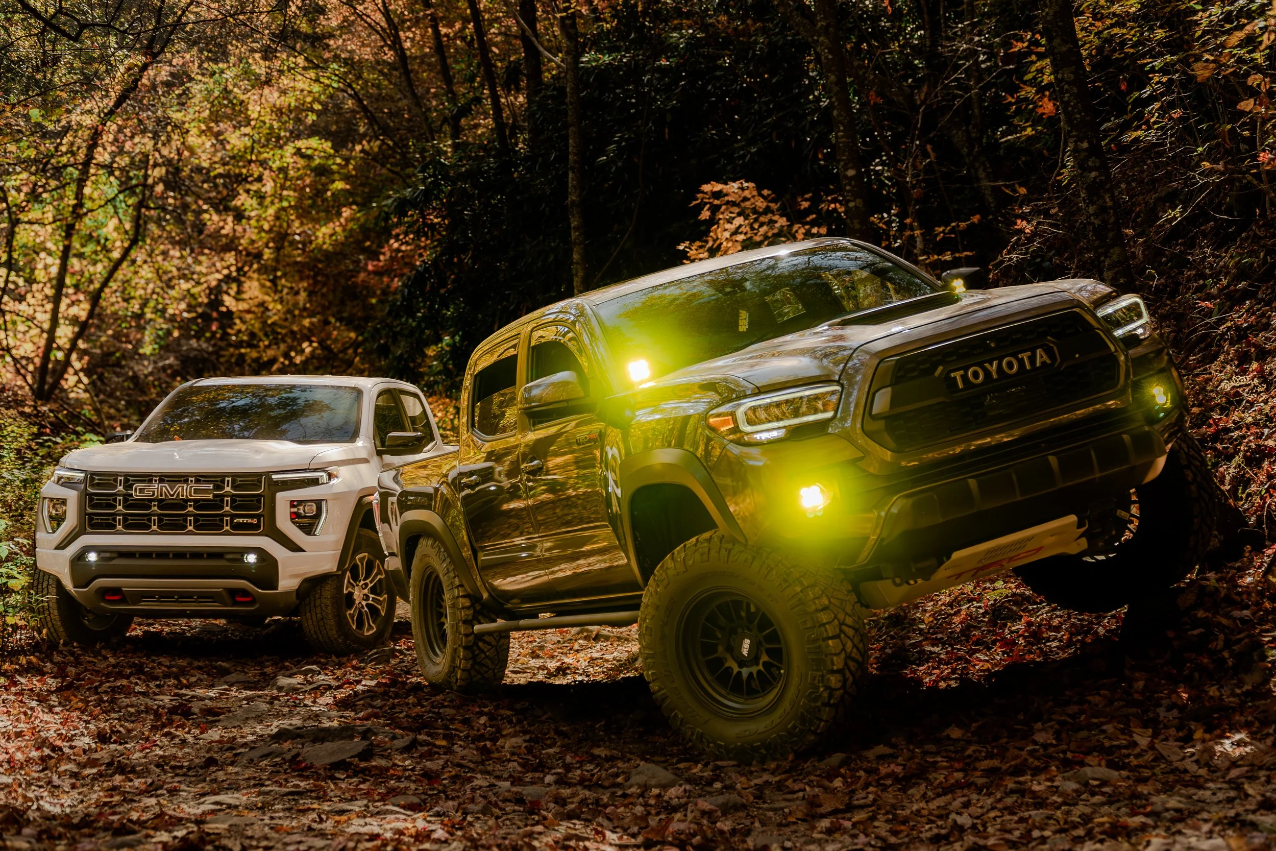 Automotive & Lifestyle