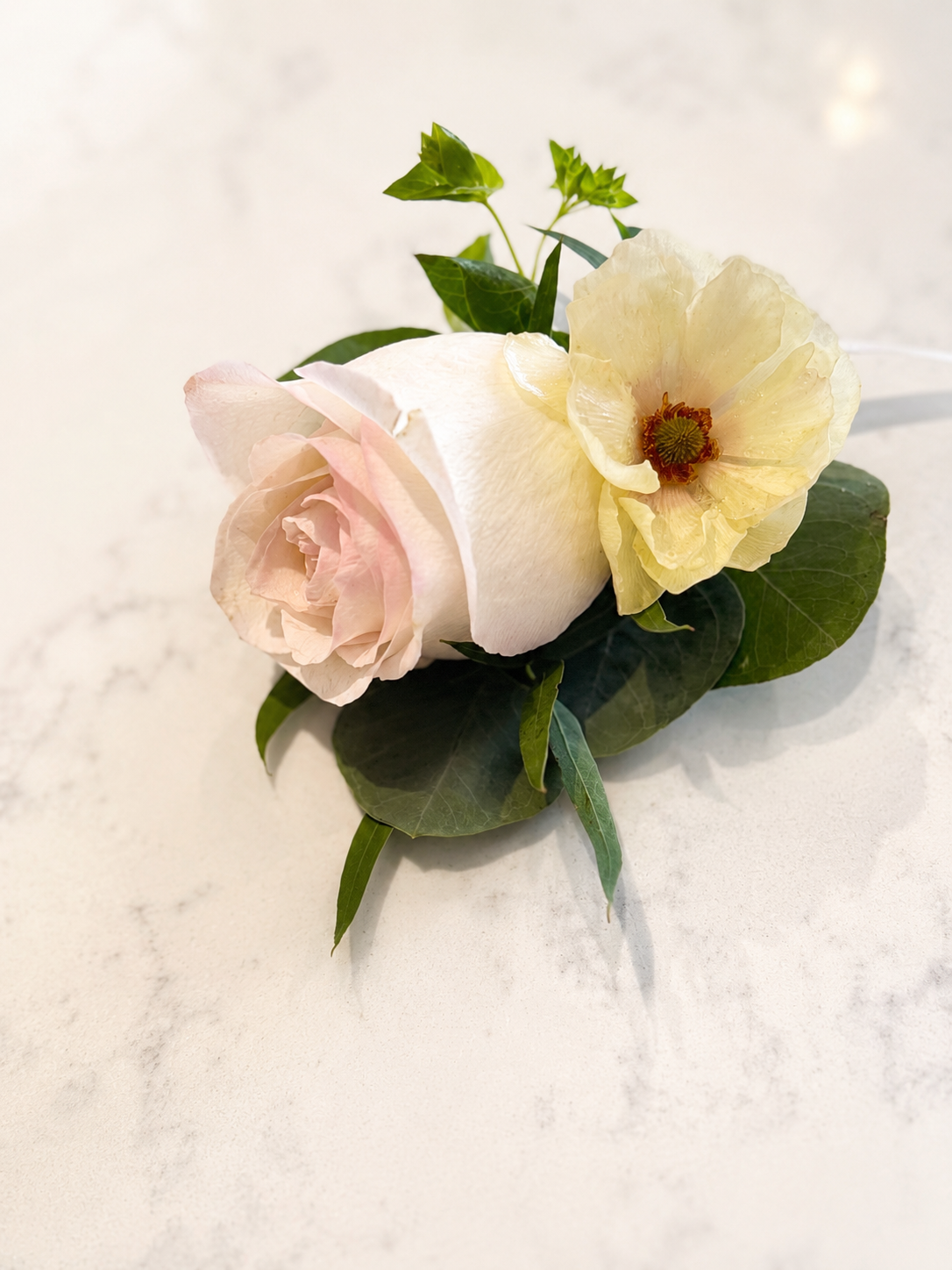 78A65FE9-FACC-4D79-B627-396D0BBB2359.png