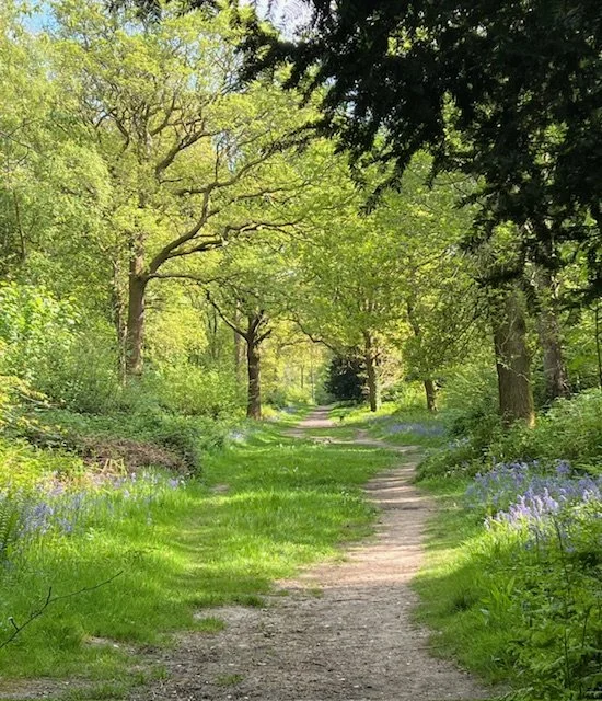 Mindfulness in Daily Life