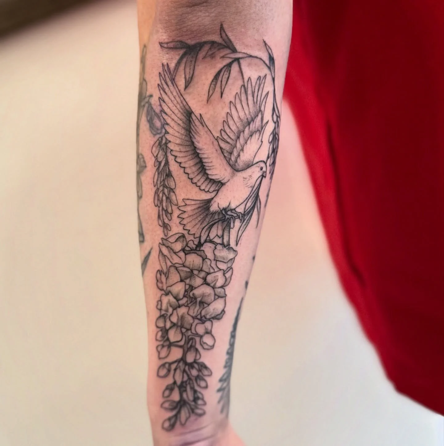 A pretty dove and a bit of wisteria for my sweet friend in loving memory of her angel mama 🕊️