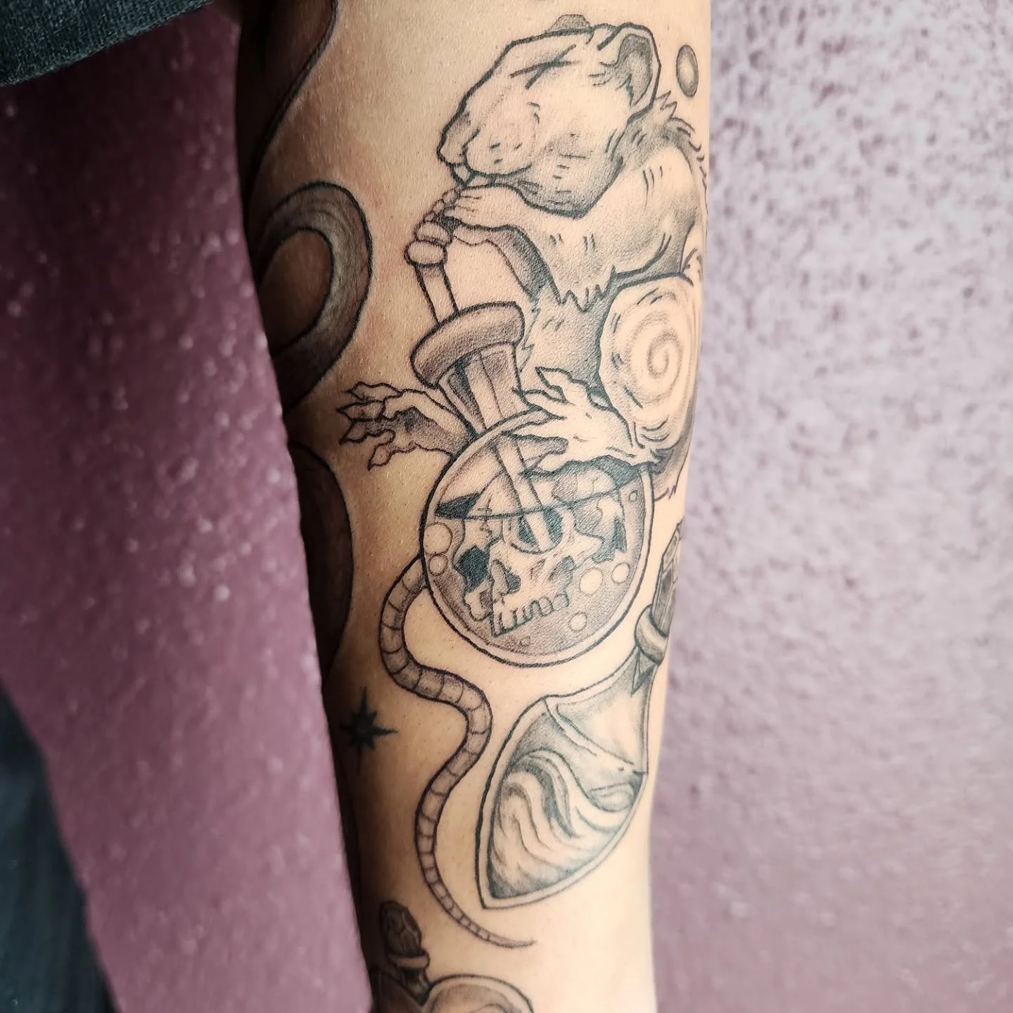 Super pleased to share this rat I drew on/for Hollie!! Thank you so much for the trust and for liking my styleee🐀 I can't wait for the other critter additions 💜

@iron.gate.studios, apprentice