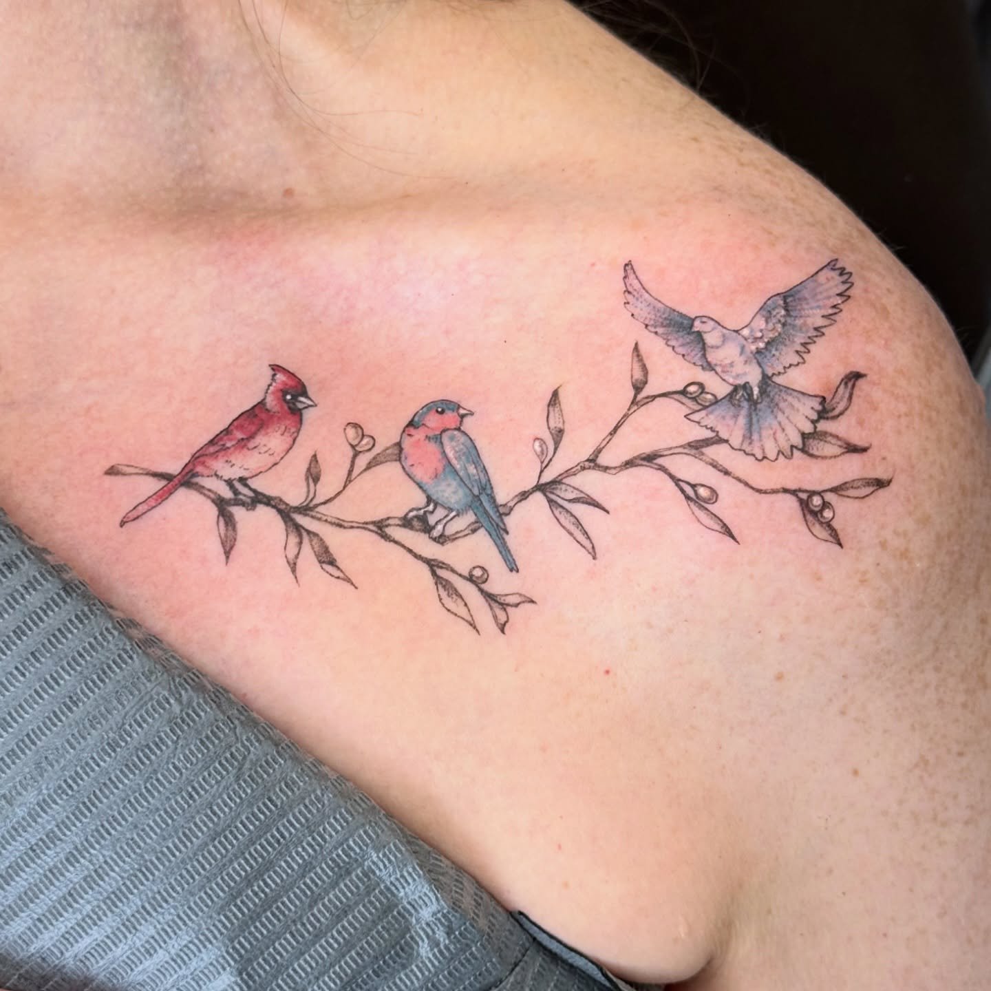 Little birds for my friend, Tanna 🕊️
