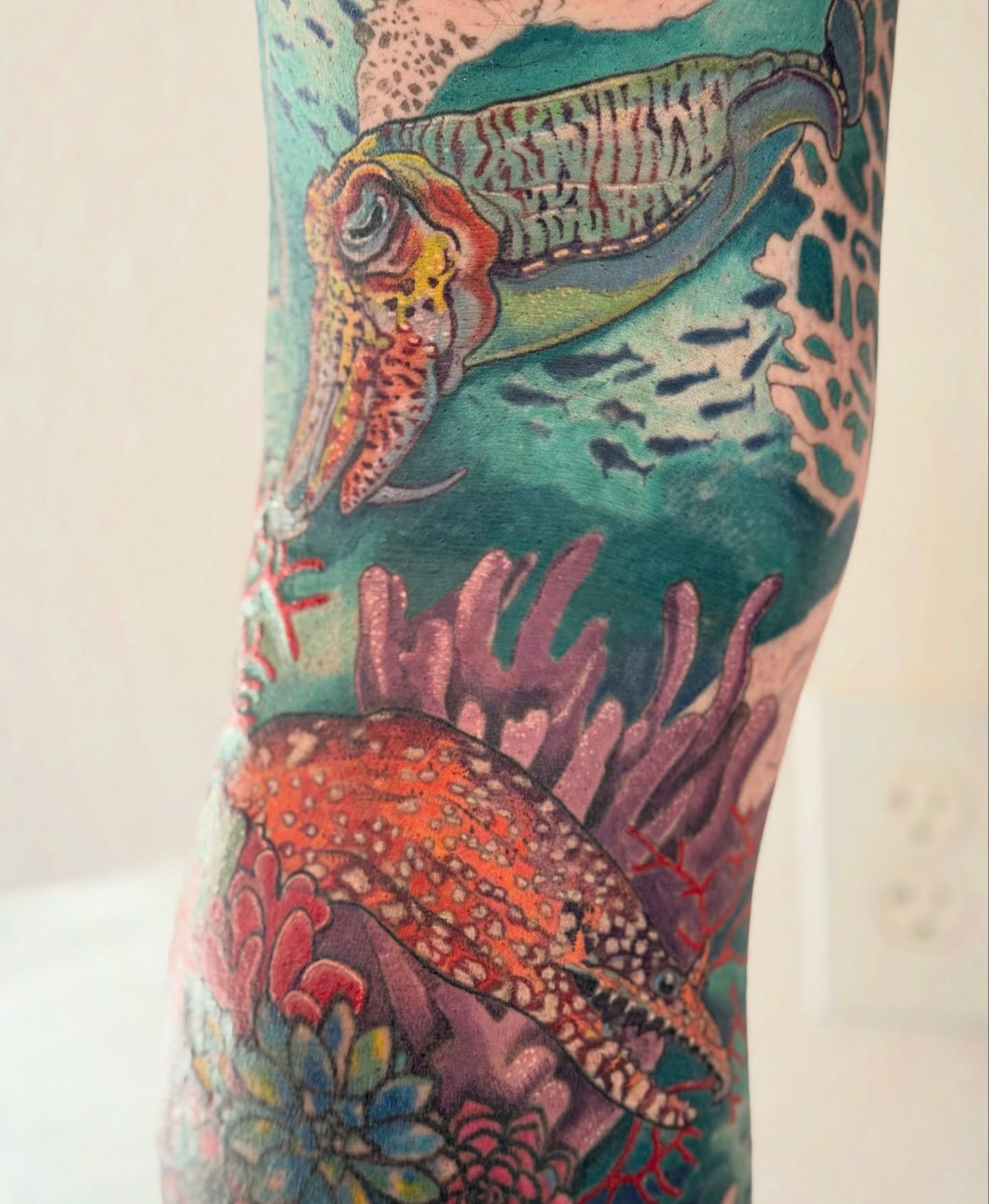 Healed cuttlefish and eel on Robert&rsquo;s underwater leg sleeve 🐠