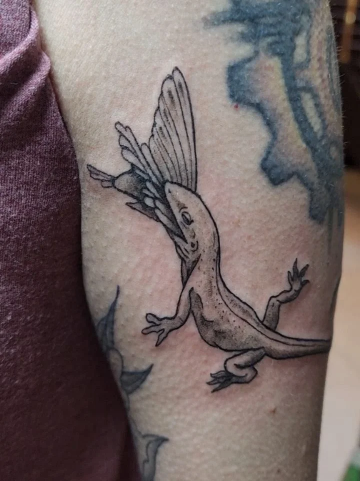 Lizard devouring moth and my first ever elbow tattoo 🖤 🕸️🦎 so much fun!!! So glad I finally got to tattoo Morgan, thanks for getting some of my flash!!!!
@iron.gate.studios
